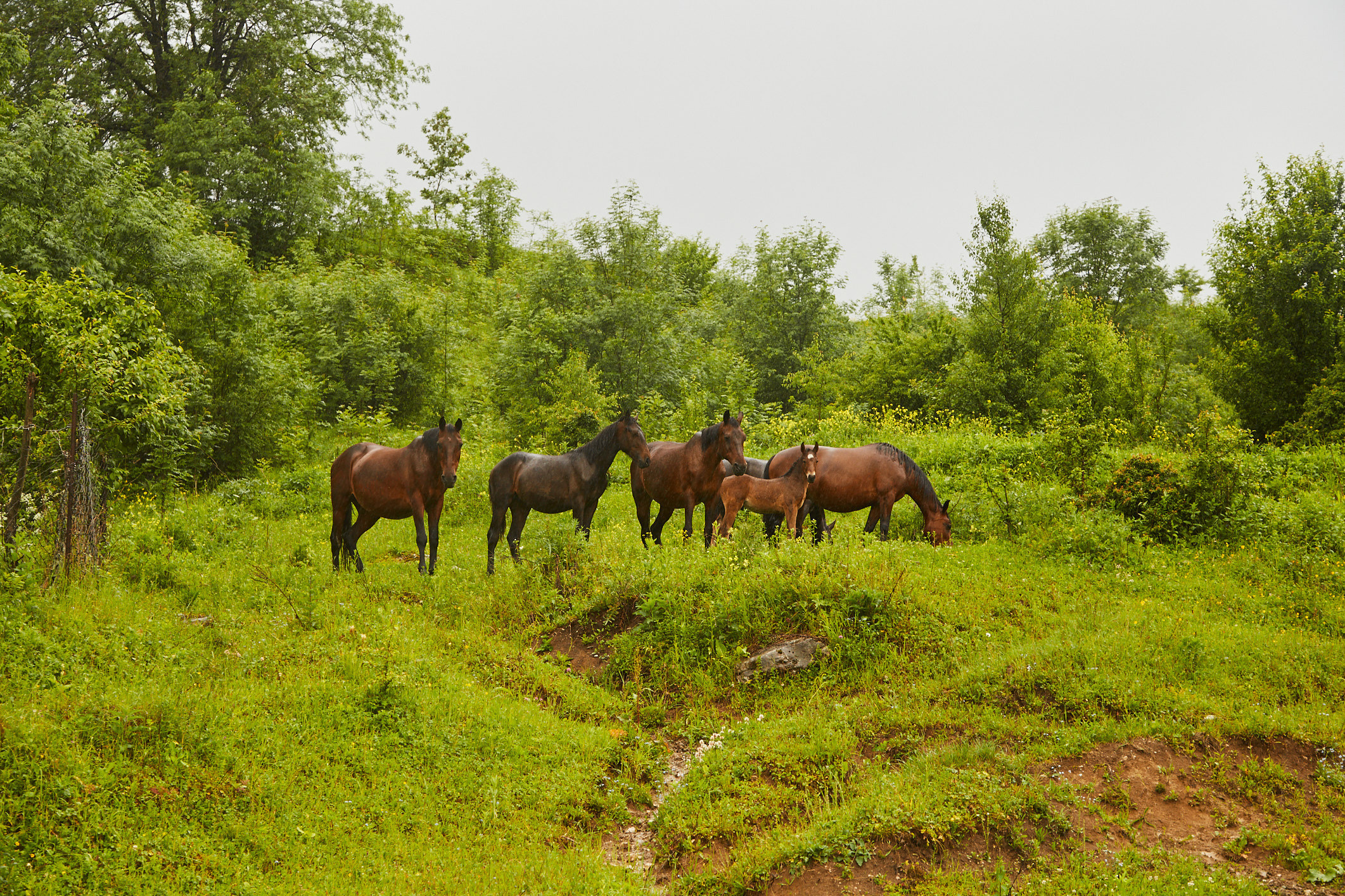 Свеверная Осетия 21. Фотограф Тимофей Юров Москва