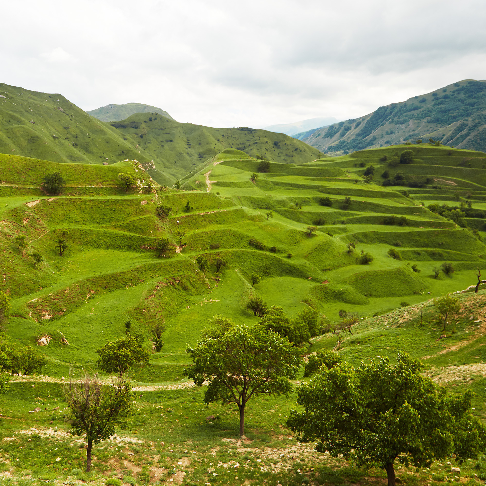 Буфер. Фотограф Тимофей Юров Москва