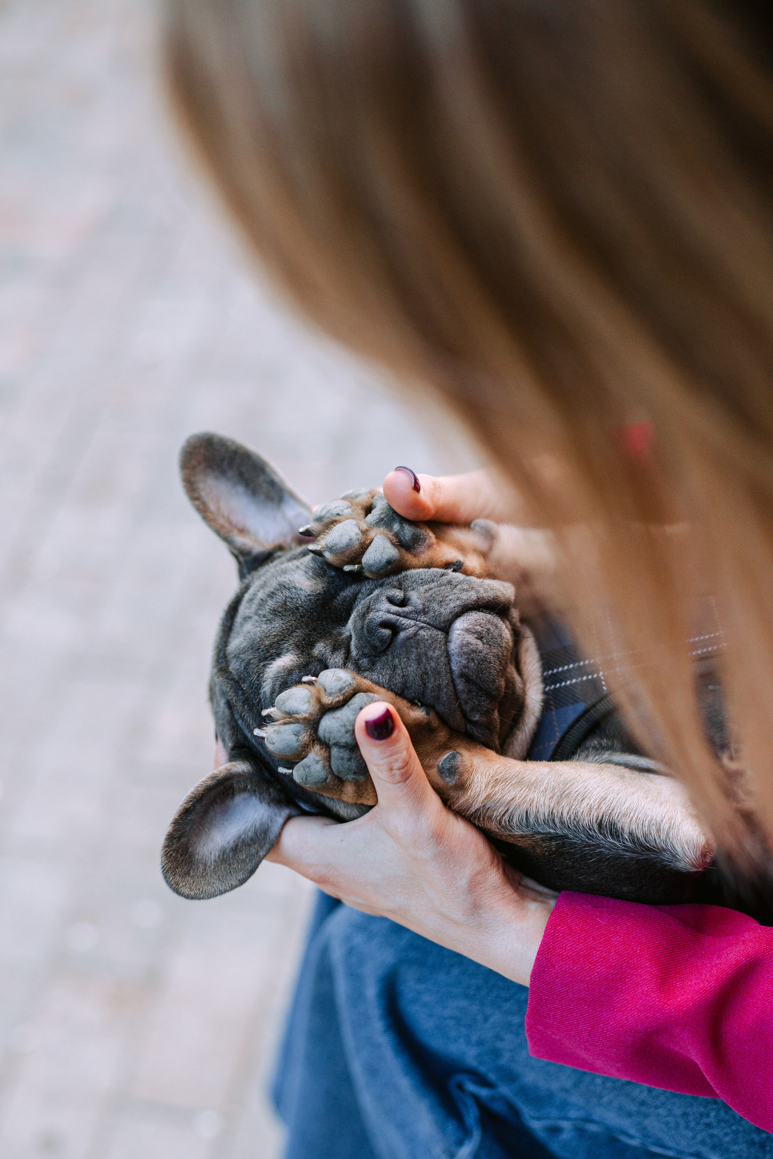 Даша и Мишель. Фотограф-анималист Татьяна Степанова