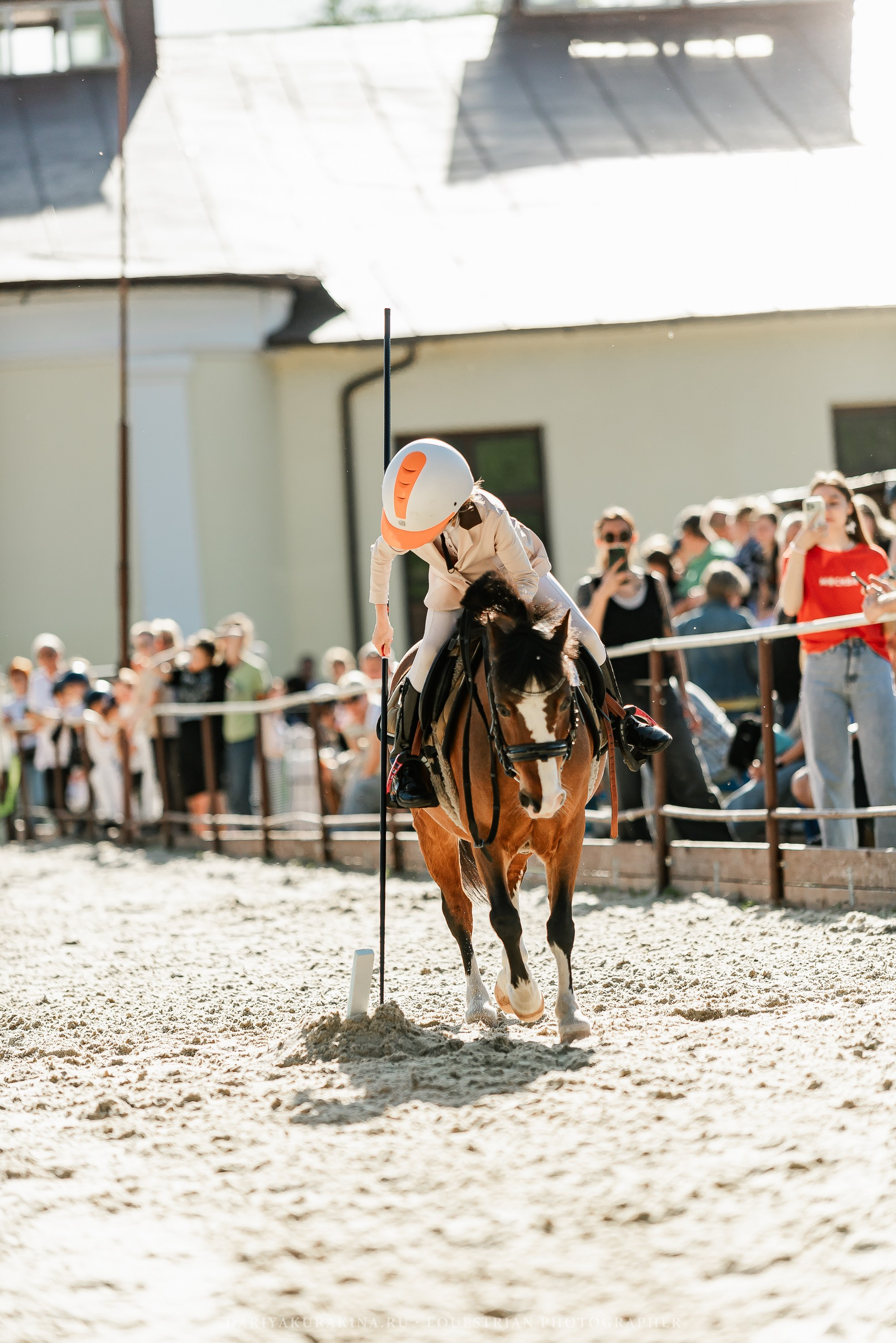 #ПОНИФОРУМ 2024. Конный фотограф Куракина Дарья • Фотосессии с лошадьми