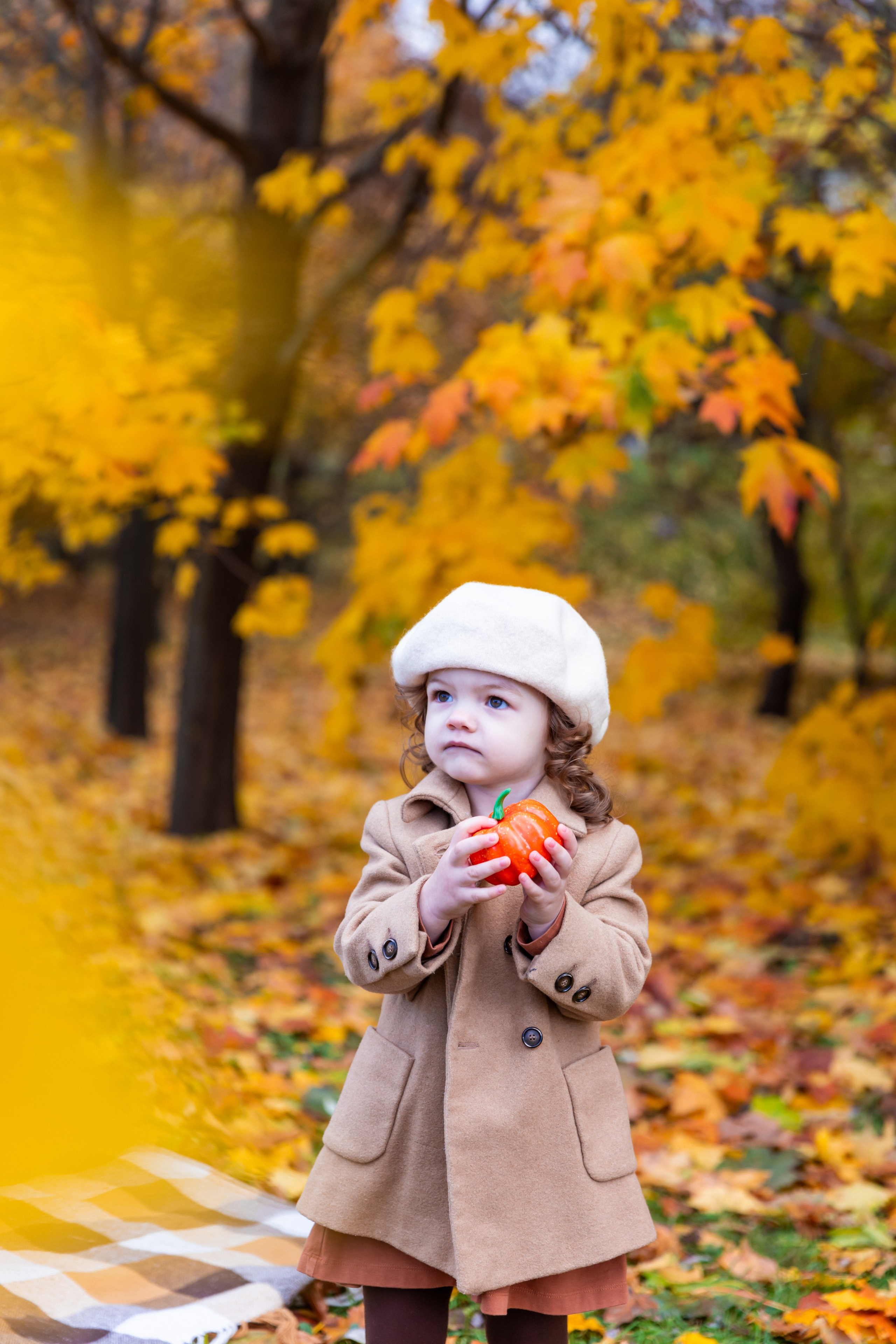 Осень в парке. Фотограф и Видеограф в Москве Дарья Арсентьева