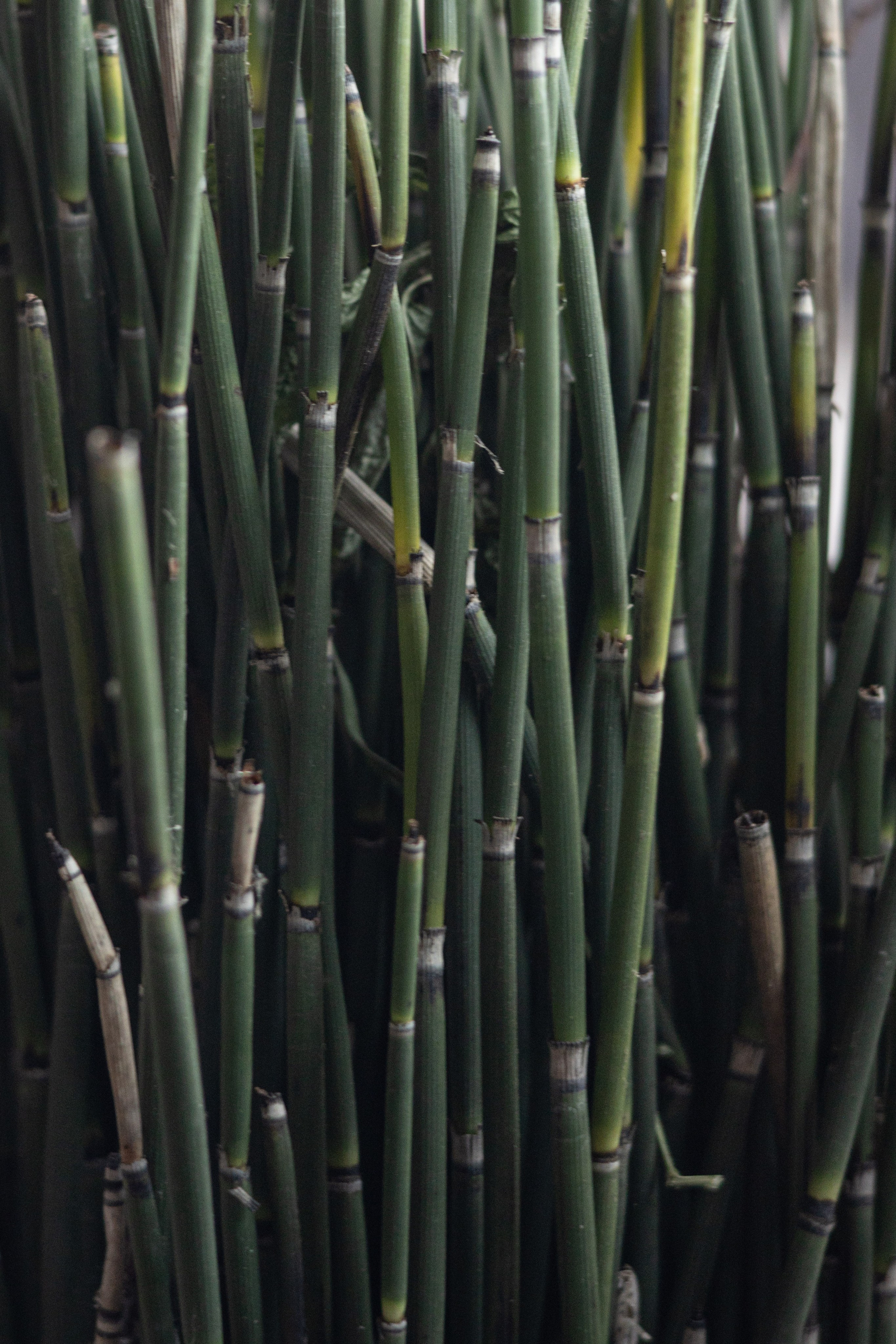 Лера & Алексей. Ресторан «TOUCH». Оформление свадеб, декор свадеб Вера Маркова, Москва