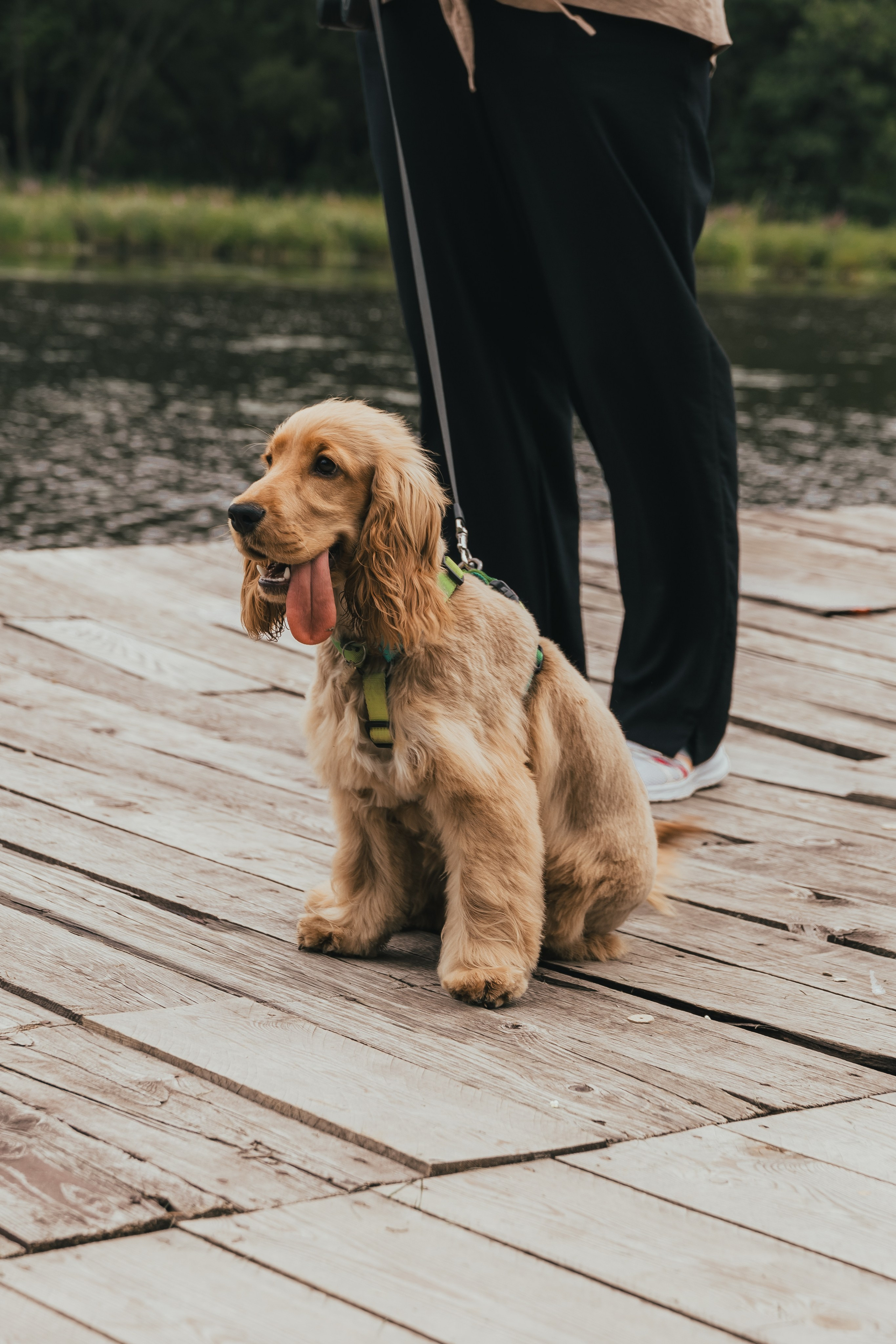 Иван & Яна. Фотограф во Владивостоке. Юрганова Анна
