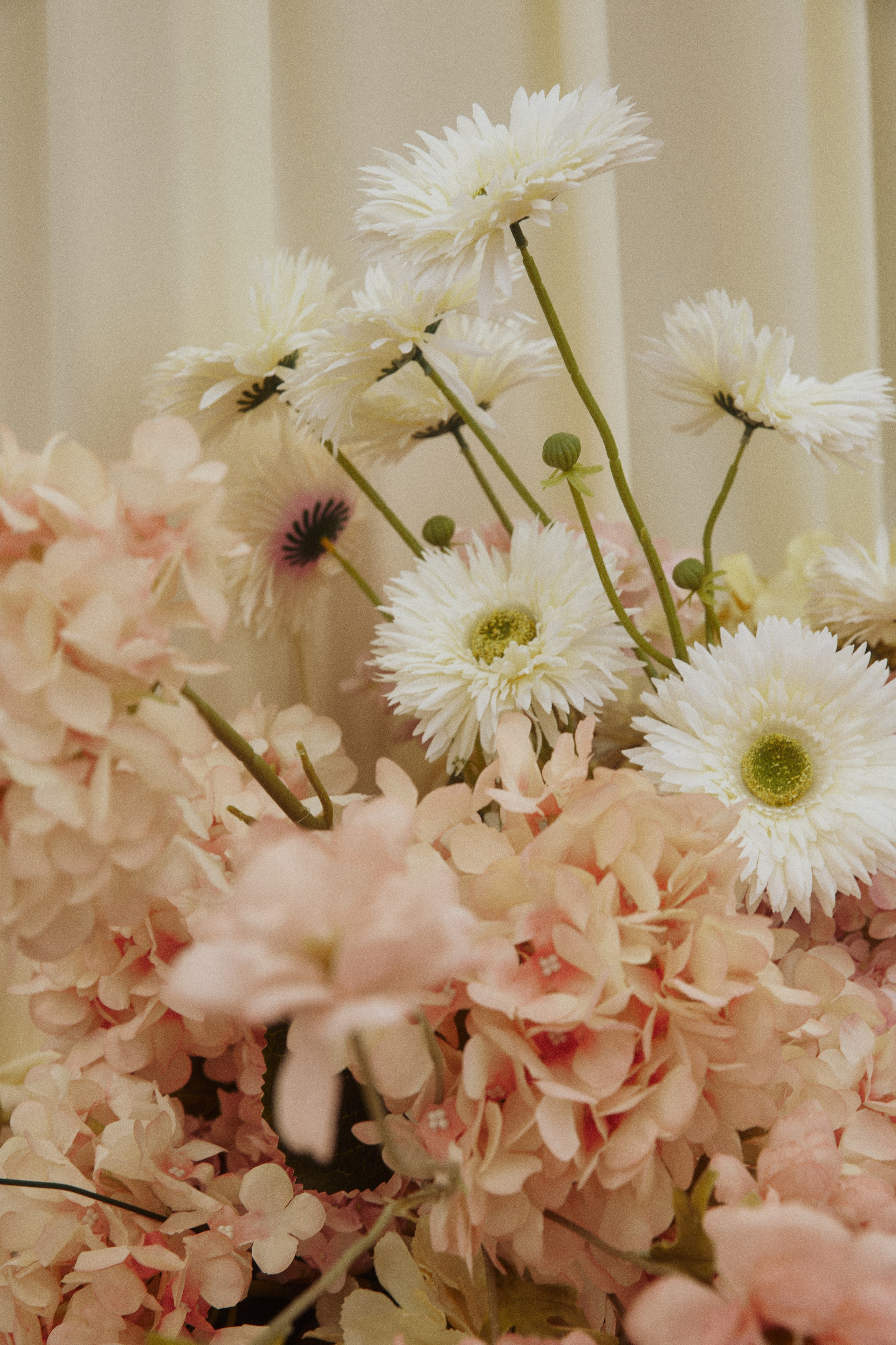 AMORE DA CINEMA. Дмитрий Мазуркевич: Профессиональный Репортажный Фотограф