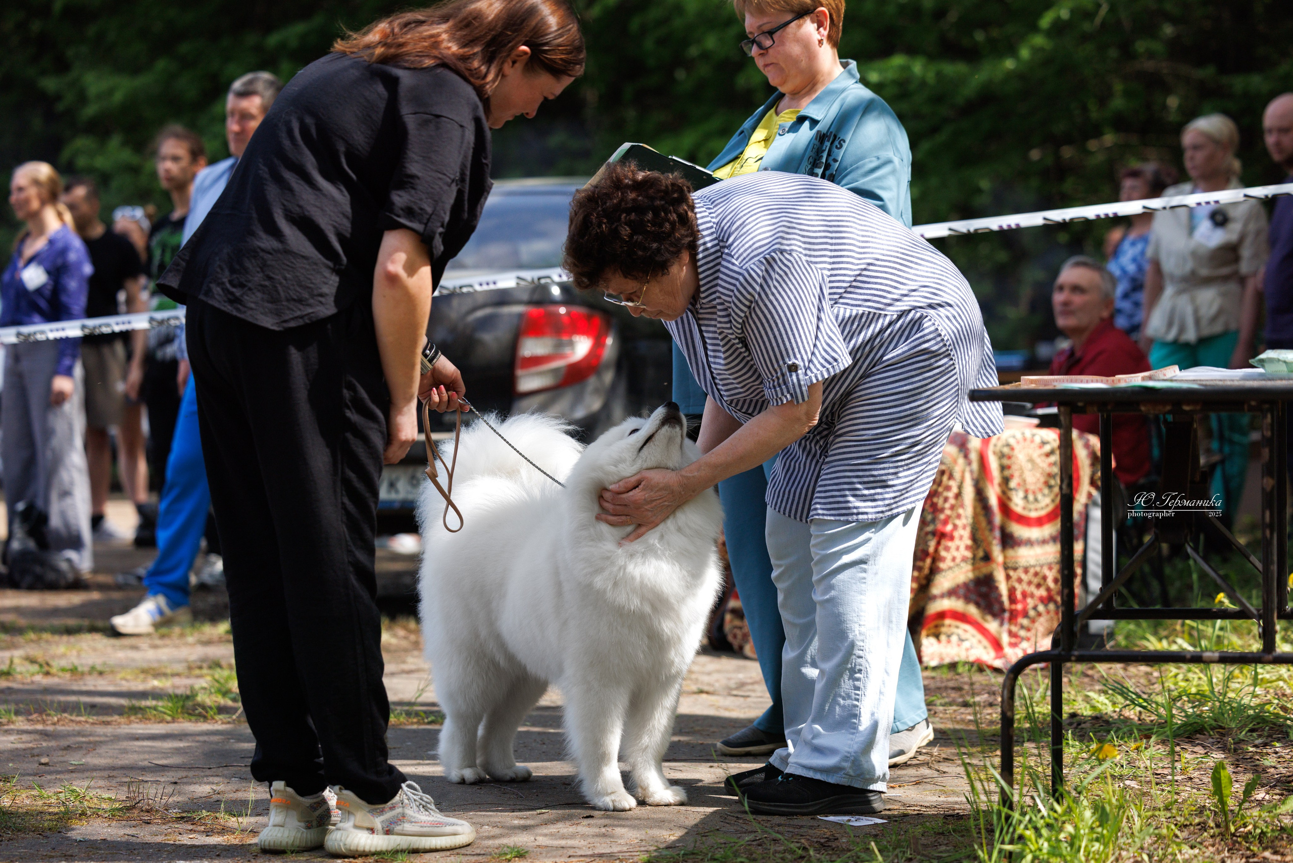Тверь 24.05.2025. Фотограф-анималист Юлия Германика
