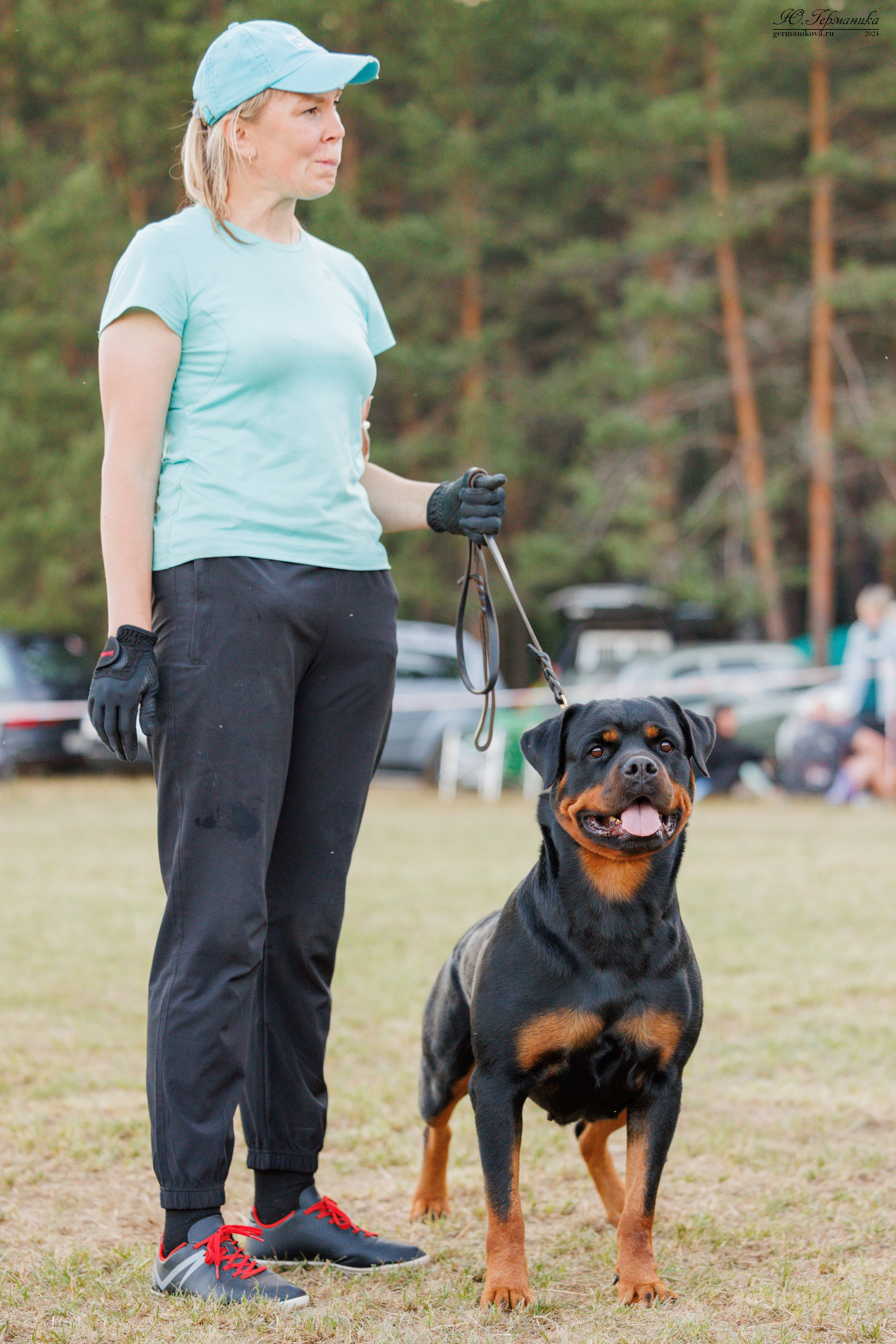 ПК и КЧК ротвейлеры Тверь 6-7.07.2024. Фотограф-анималист Юлия Германика