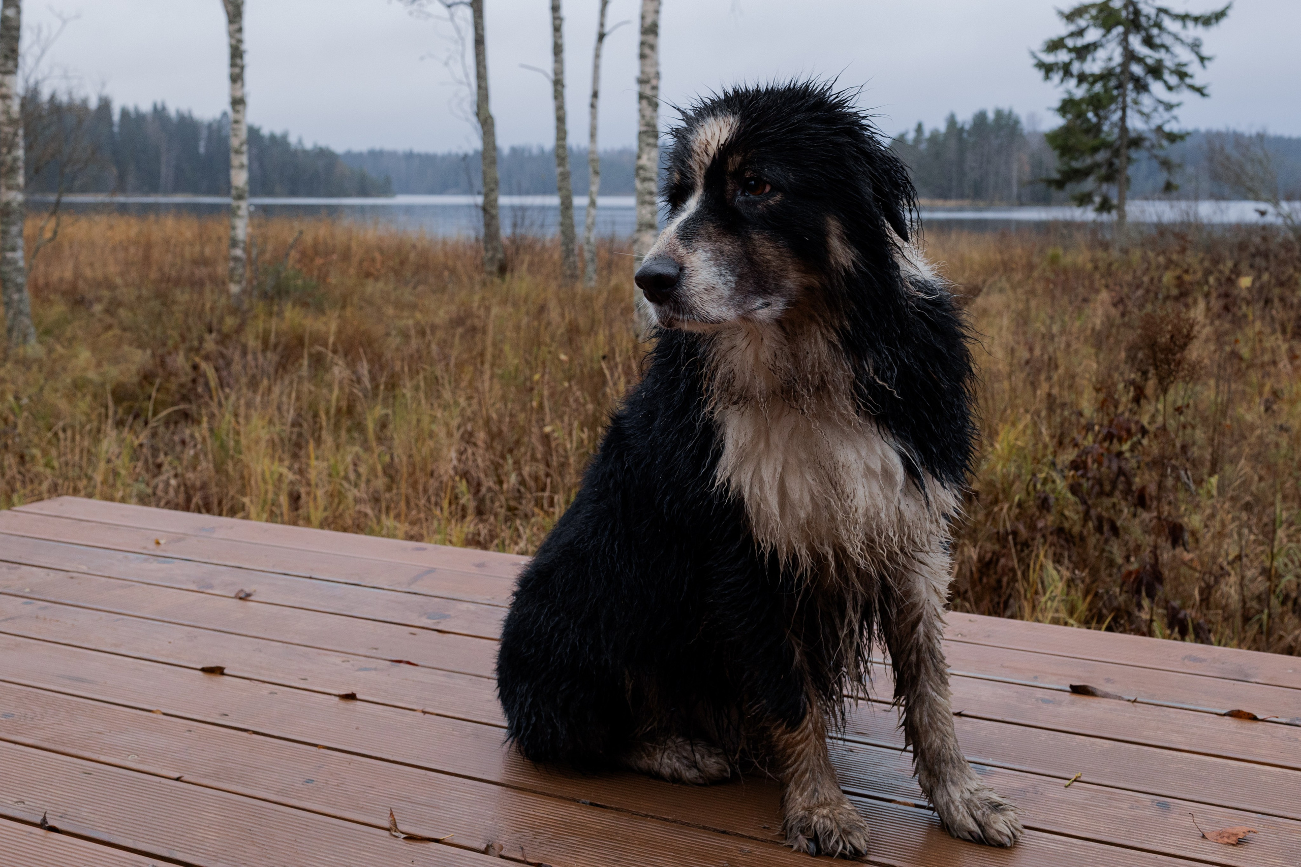 Съемка для глемпинг-отеля Хюгге Кэмп. Природа. Саша Кушнерова Фотографии. Sasha Kushnerova Photos