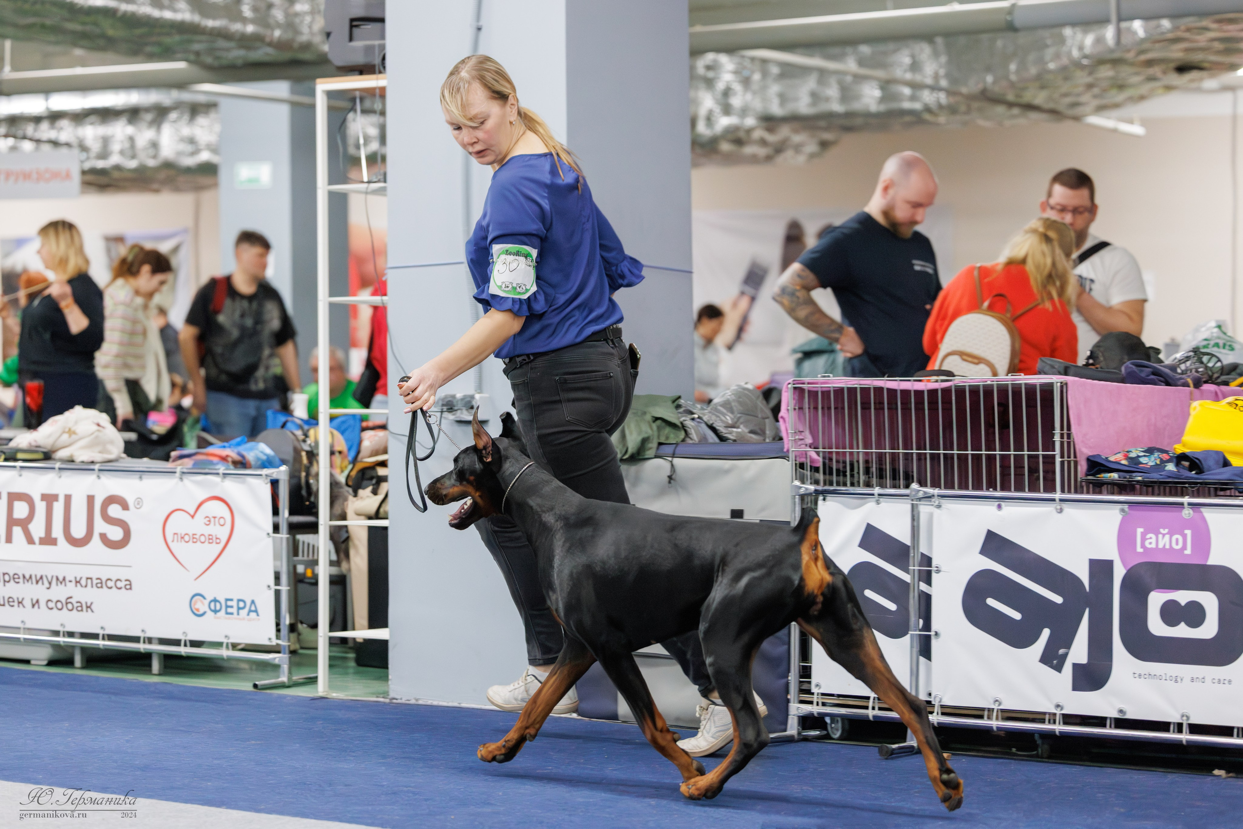 Сфера и Крокус 8,9,16 и 30.03.2025. Фотограф-анималист Юлия Германика