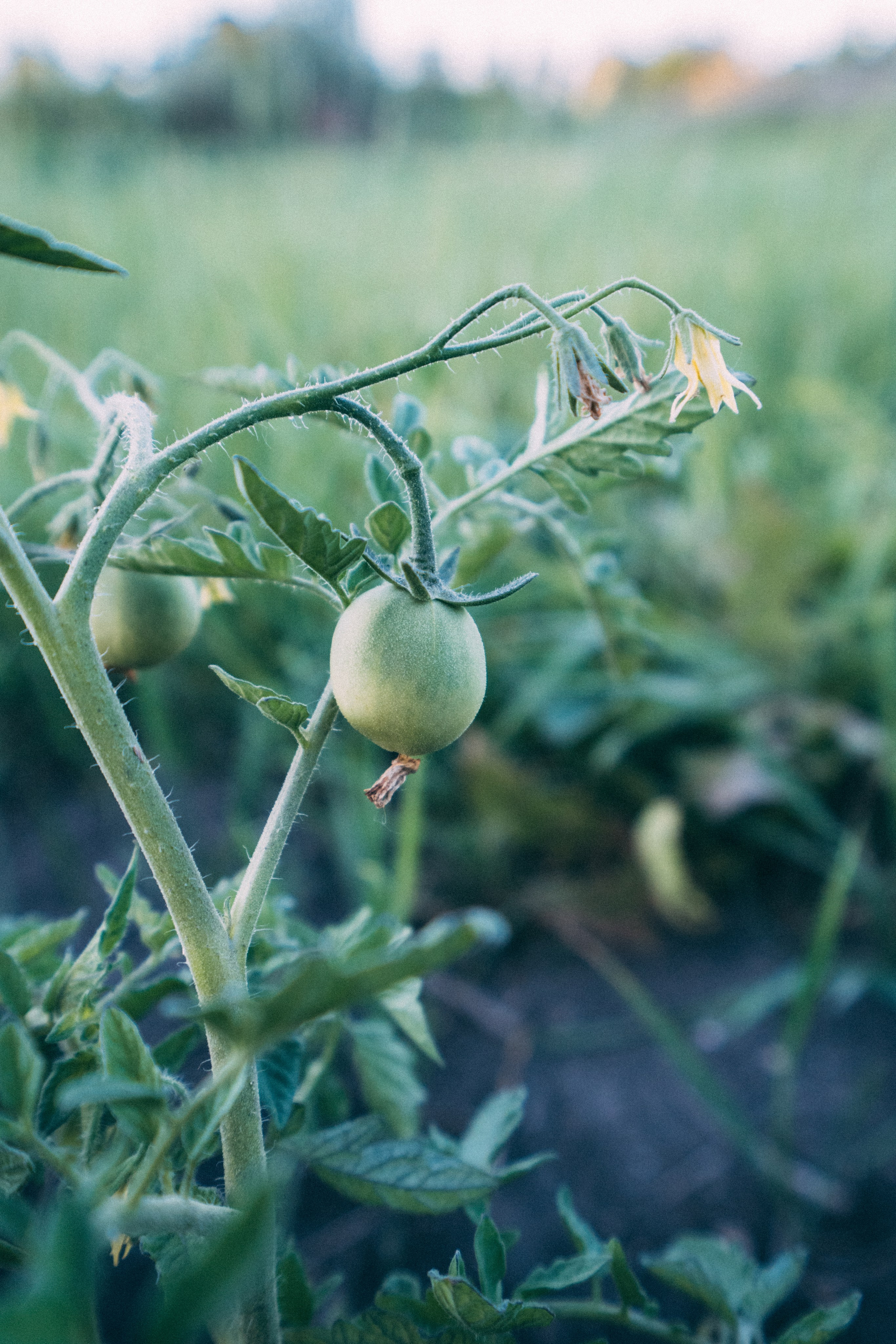 Белгород. Фотограф Алиса Аспер