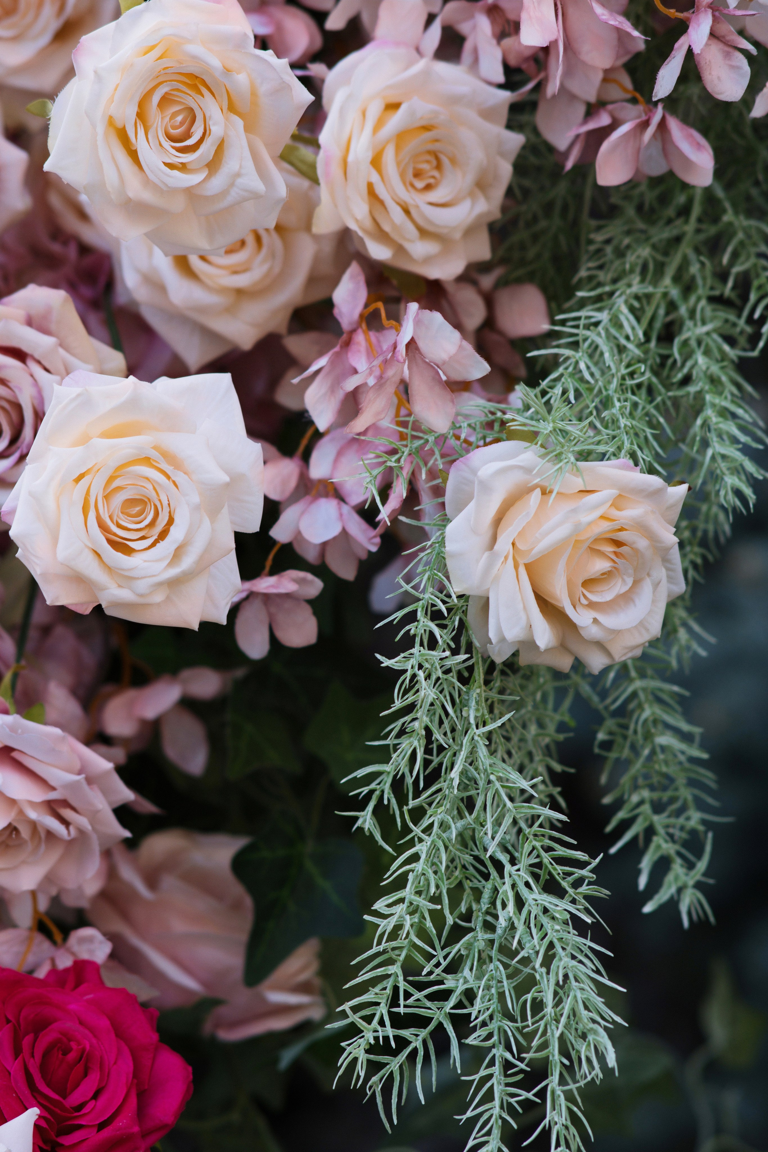 M ❤ D. Syrovatkina_Photographer.ru