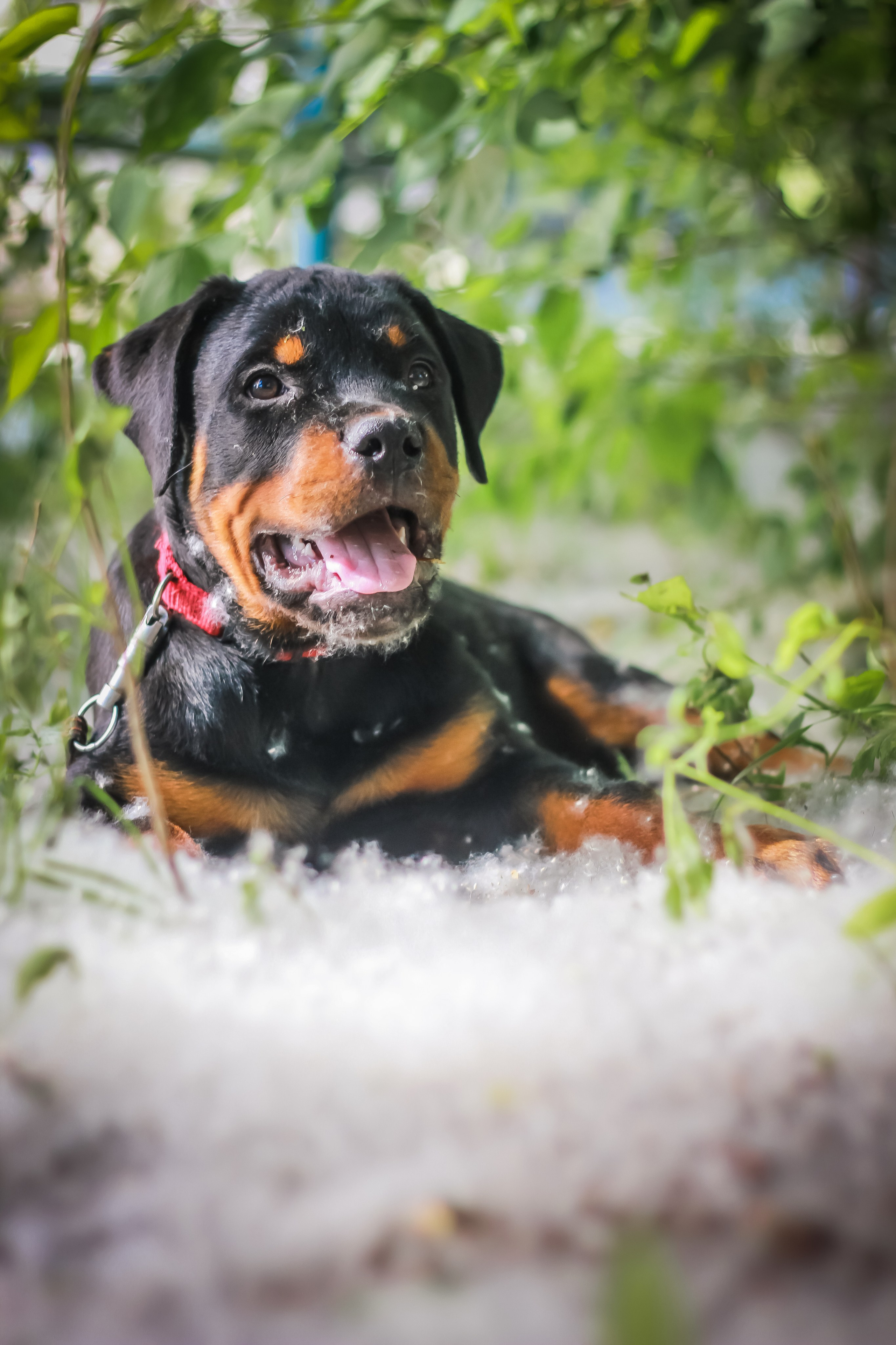 Животные. Авторские туры с профессиональным фотографом