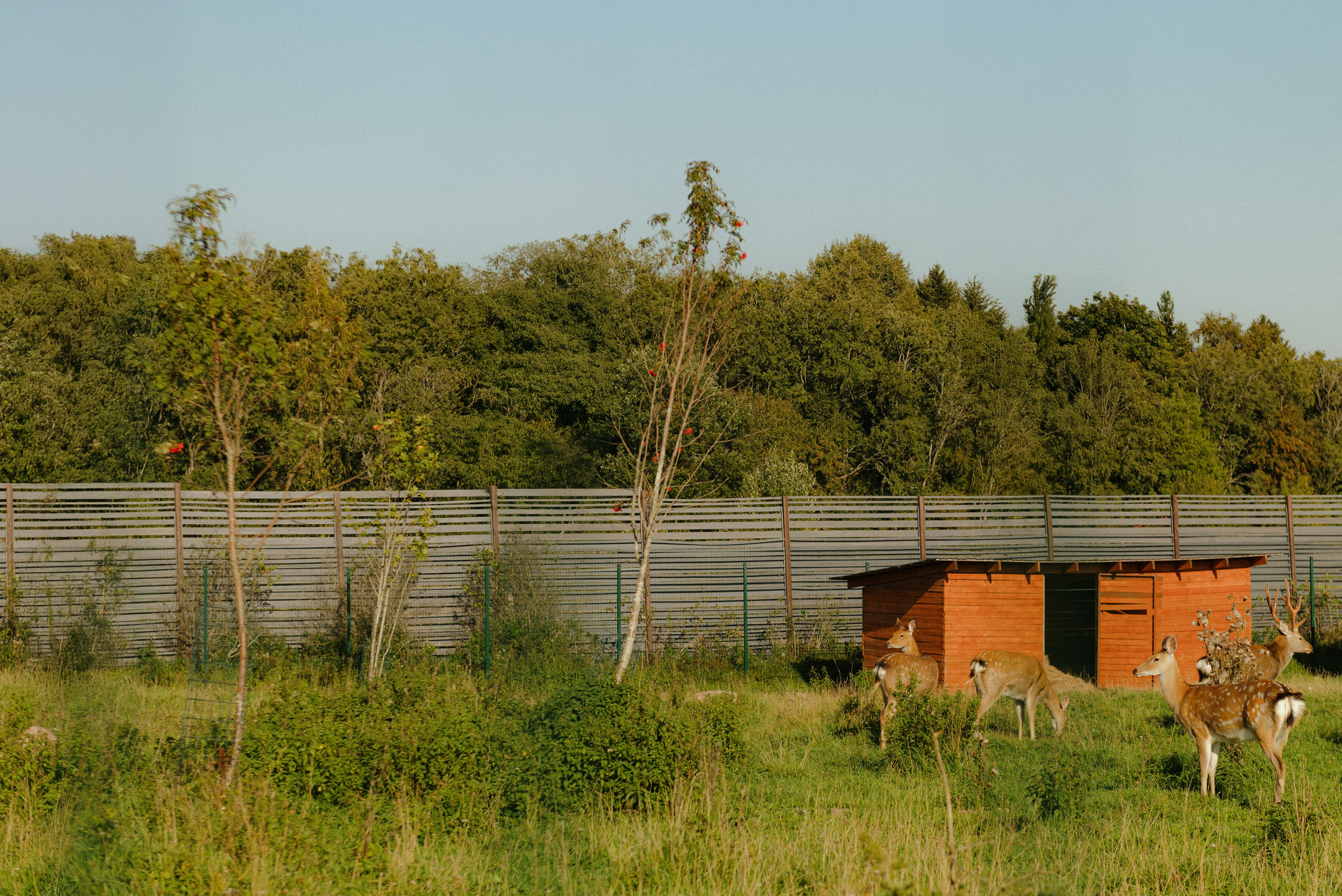 Люблю вас очень пупсики, счастья. Фотограф в Санкт-Петербурге Евгений Перевалов