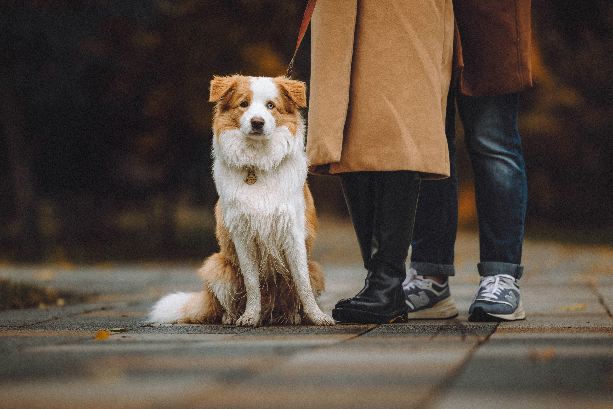 Алина, Витя и Асти