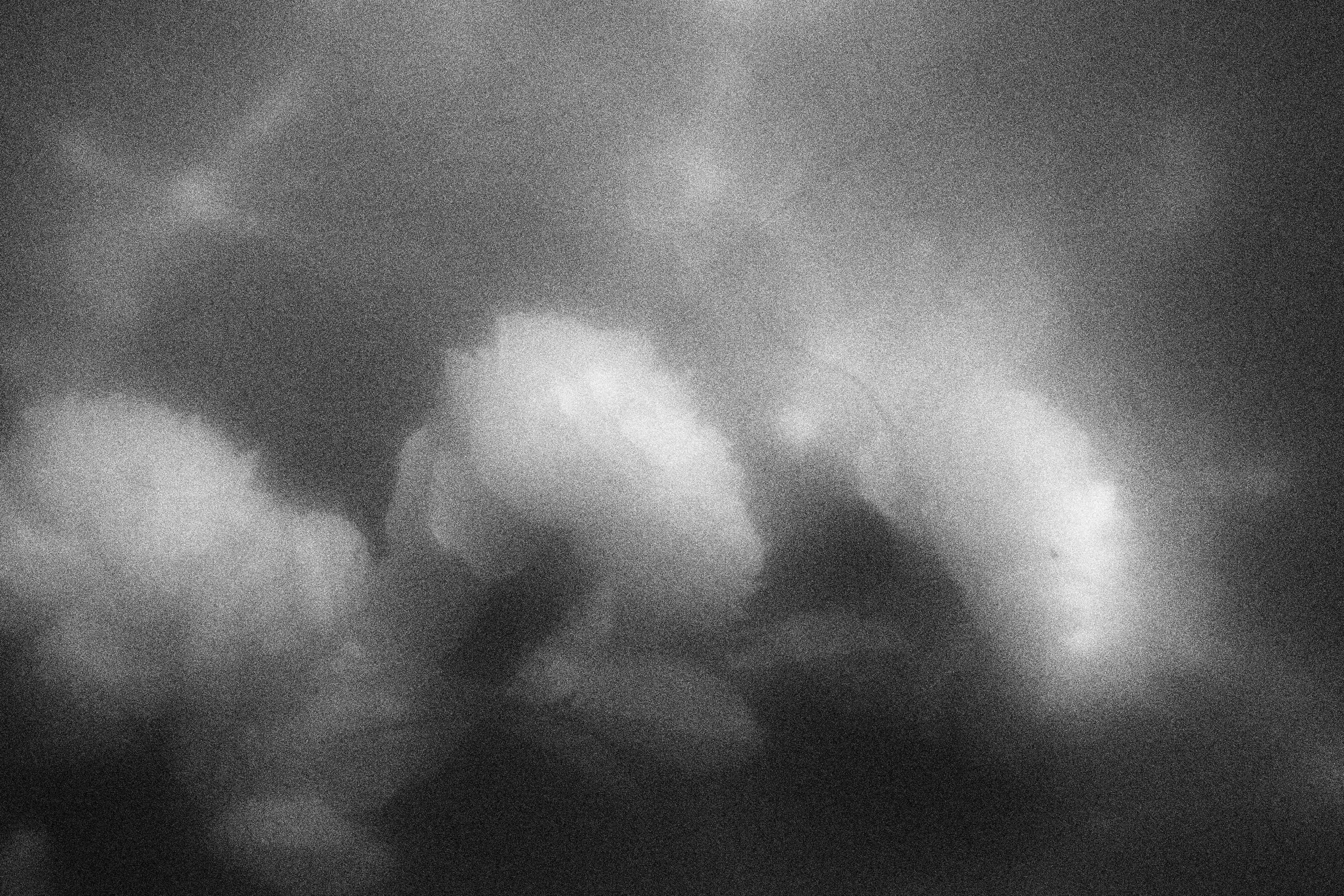 «Видеть. Чувствовать. Сохранять»