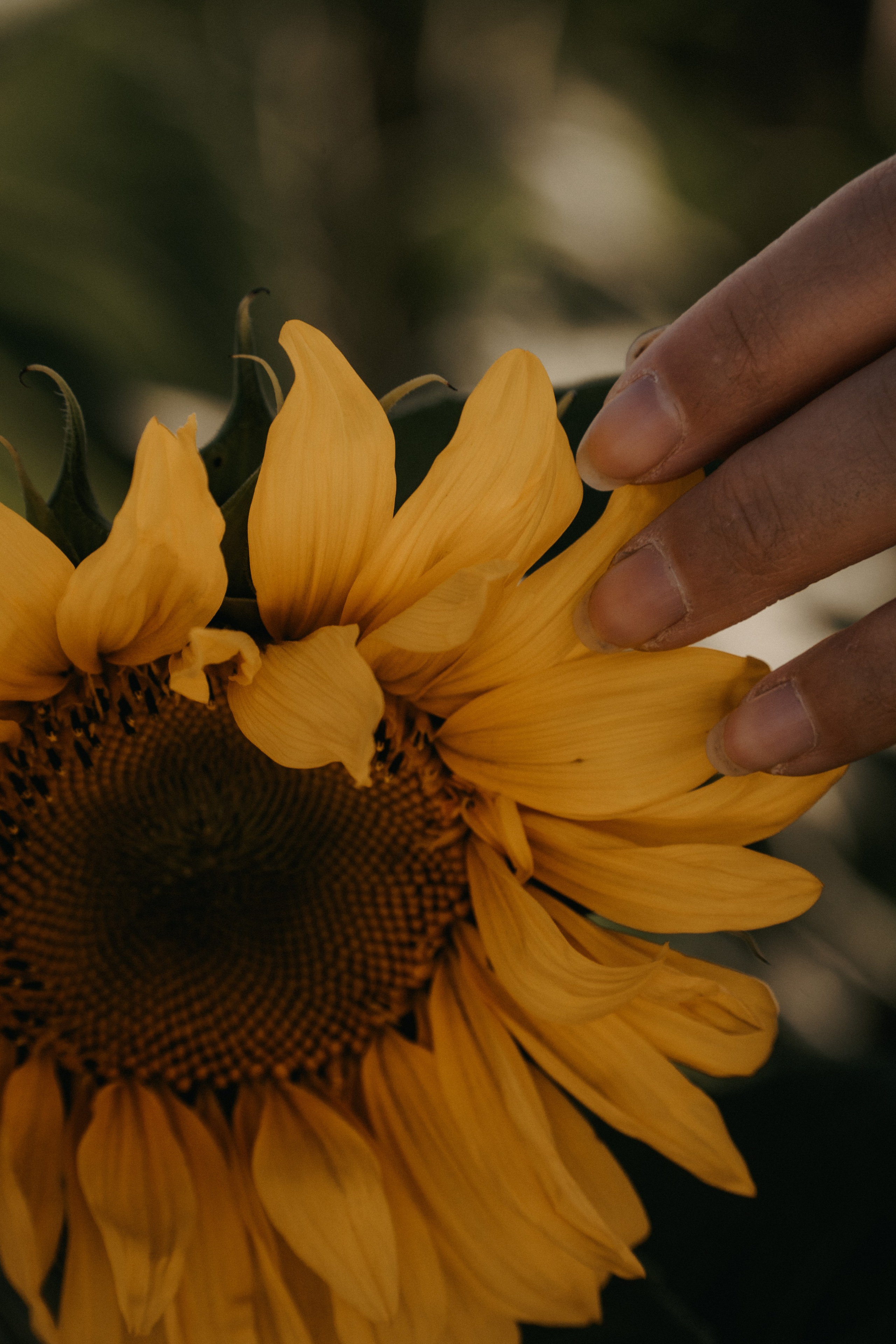 Оля. Семейный lifestyle фотограф в Ростове-на-Дону