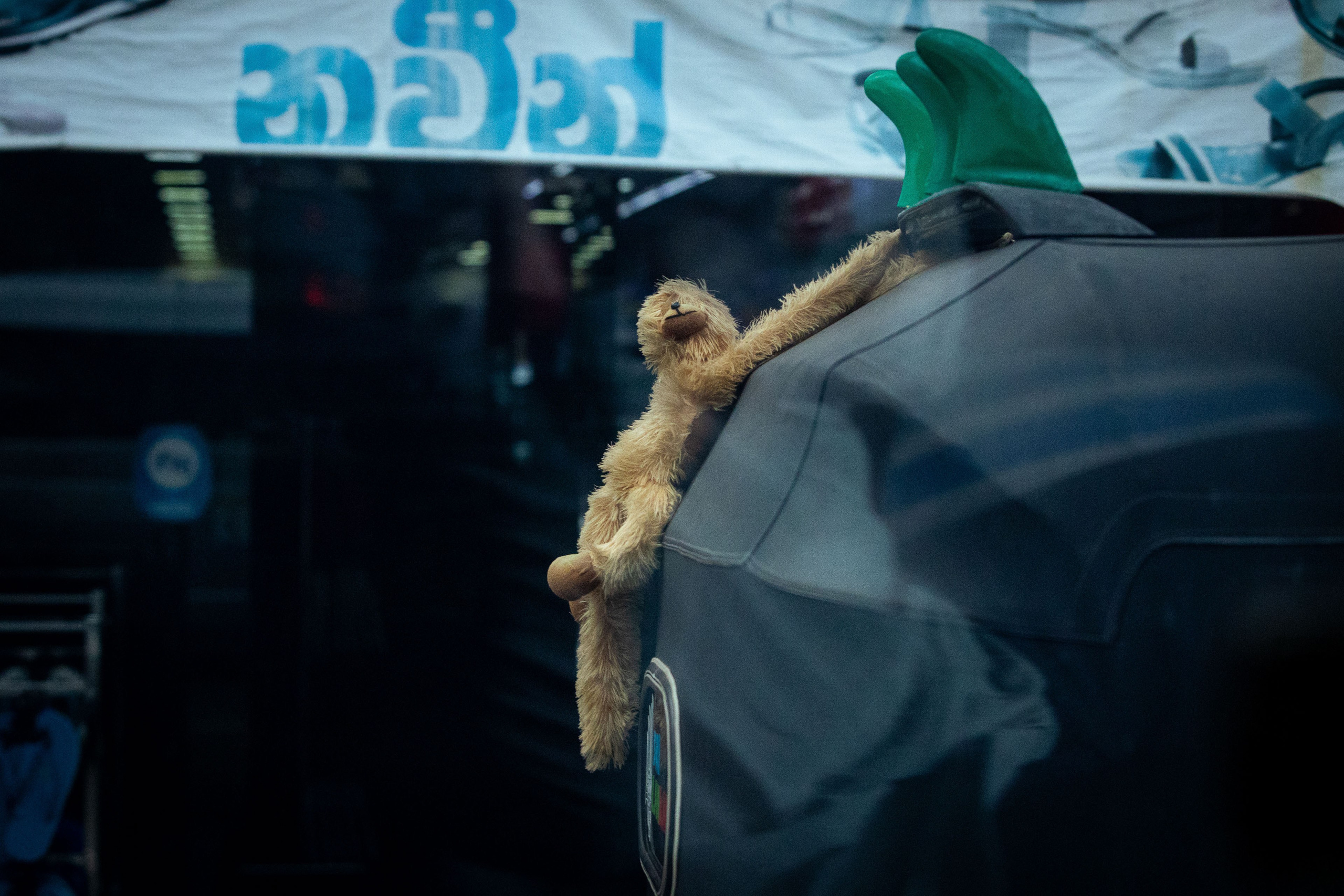 Шри-Ланка (весна 2024). Фотограф Виноградов Константин