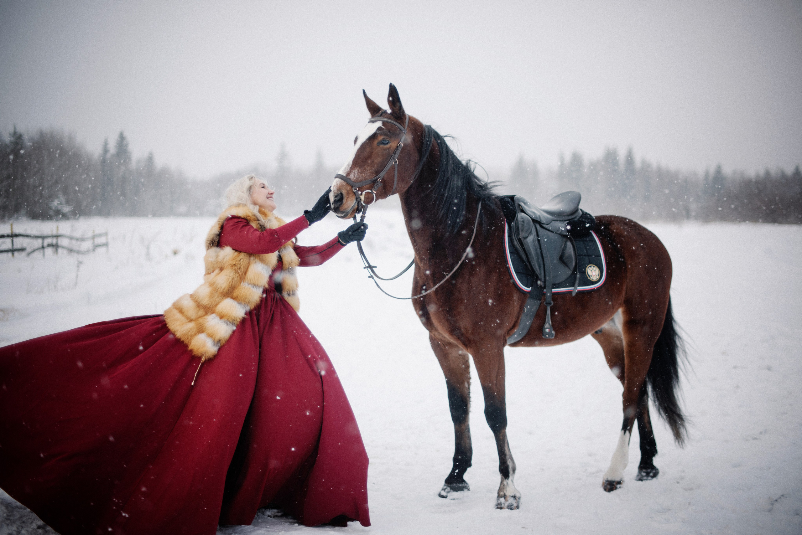 Фото СИМВОЛ ГОДА 2026 от Натальи. ФОТОПРОЕКТЫ