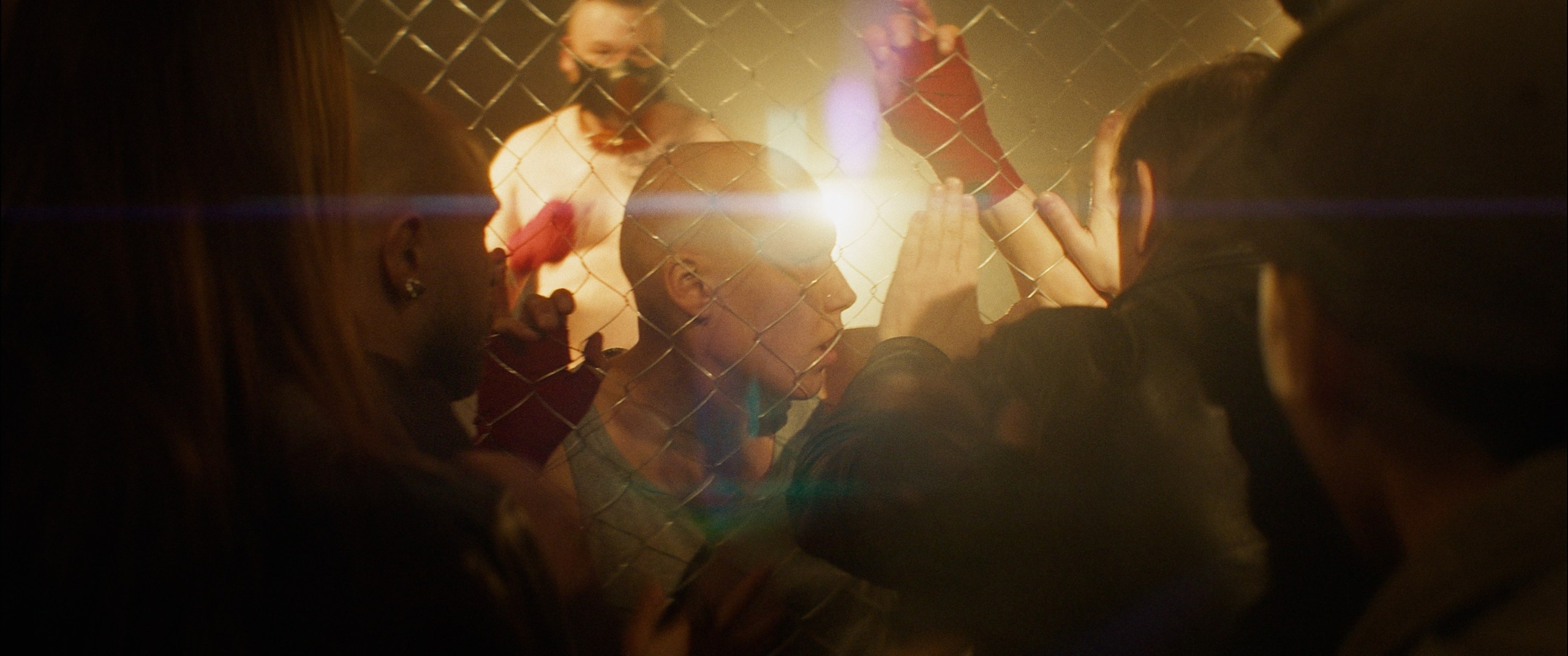 Мяу! (short film). Цветокоррекция видео онлайн Иван Сержанов