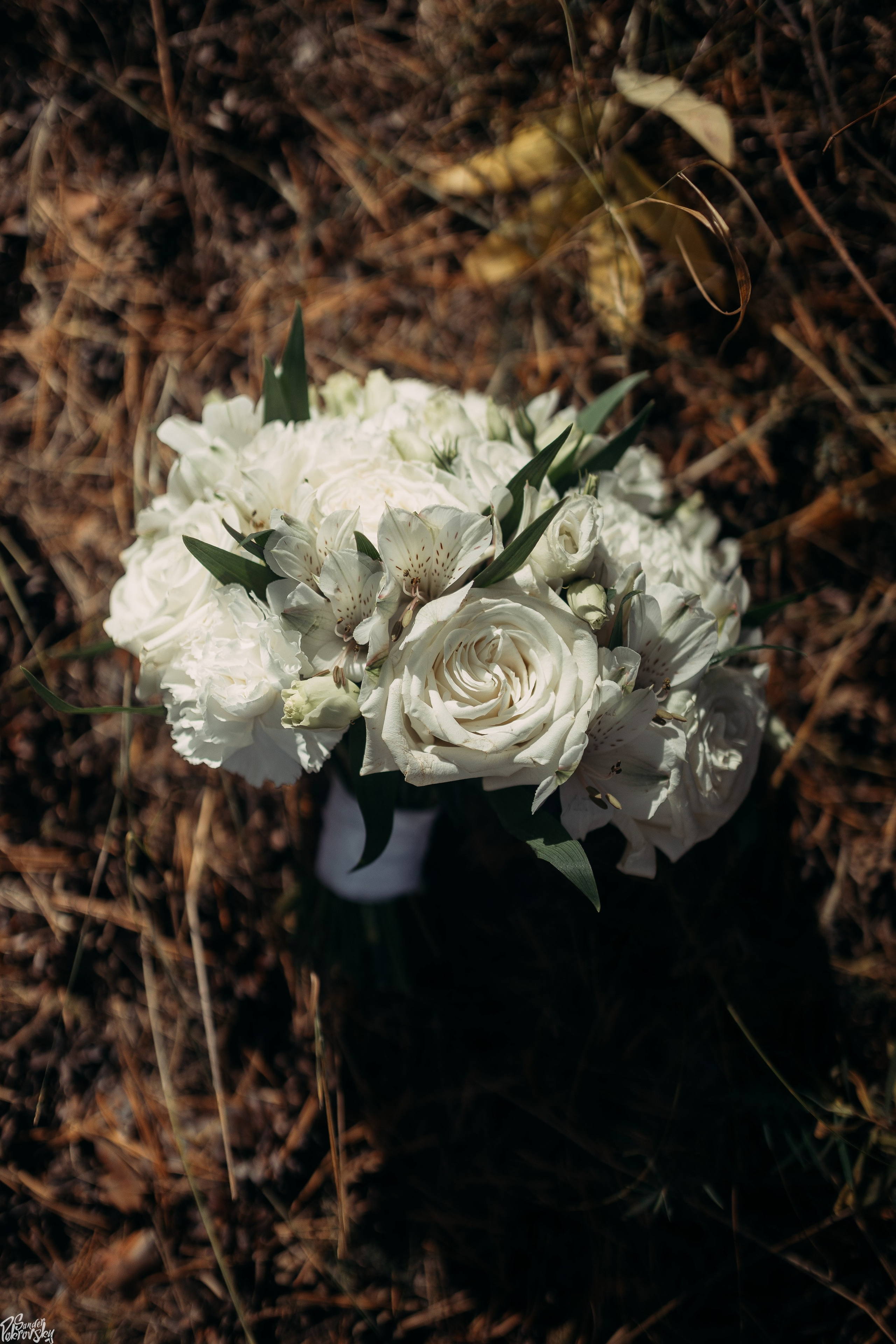 Александр & Кристина. Свадебный и репортажный фотограф в Чебоксарах Покровский Александр