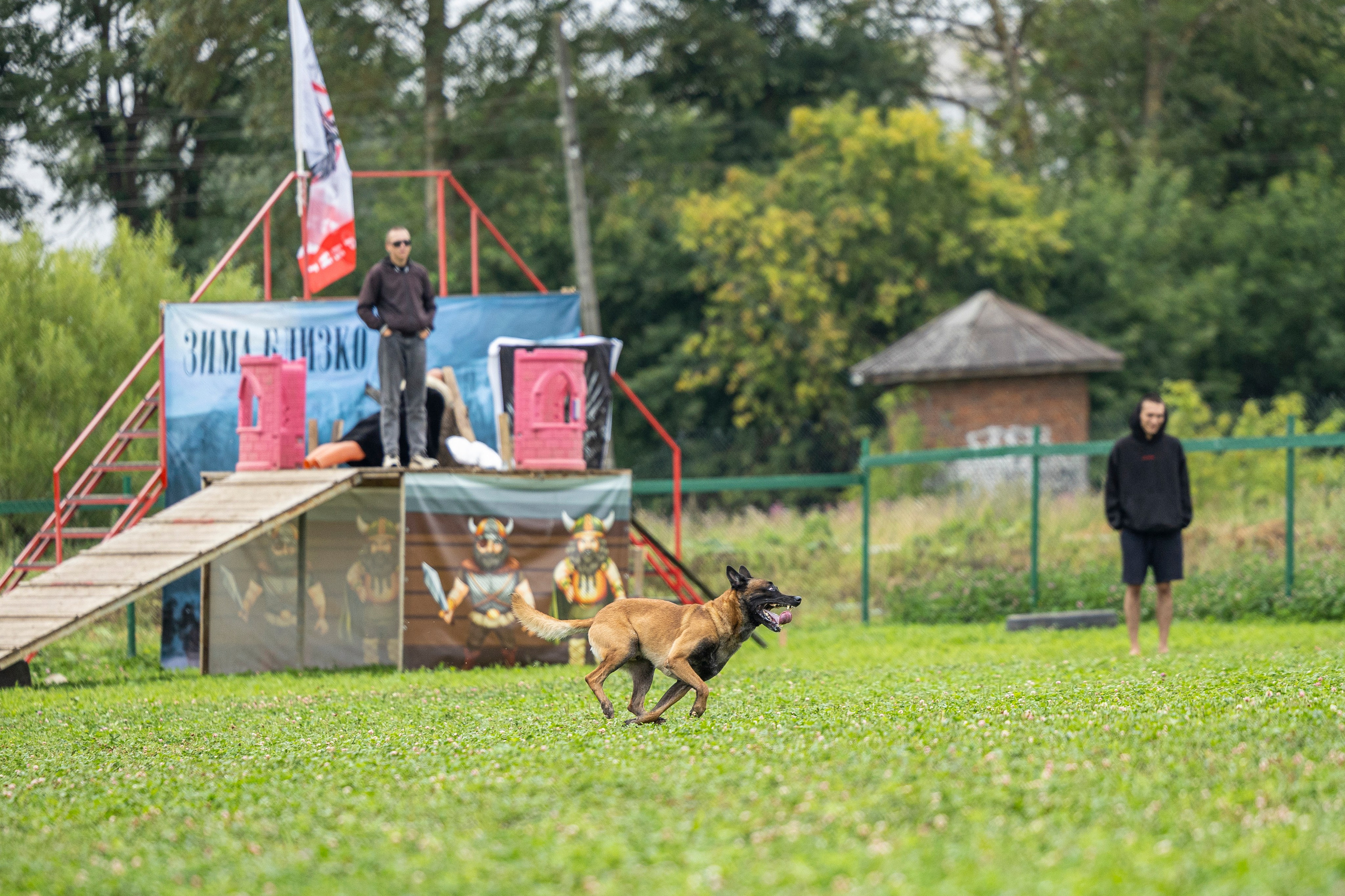 Соревнования по Мондьорингу г. Вологда 10-11.08.2024. Фотограф-анималист Анна Маринич
