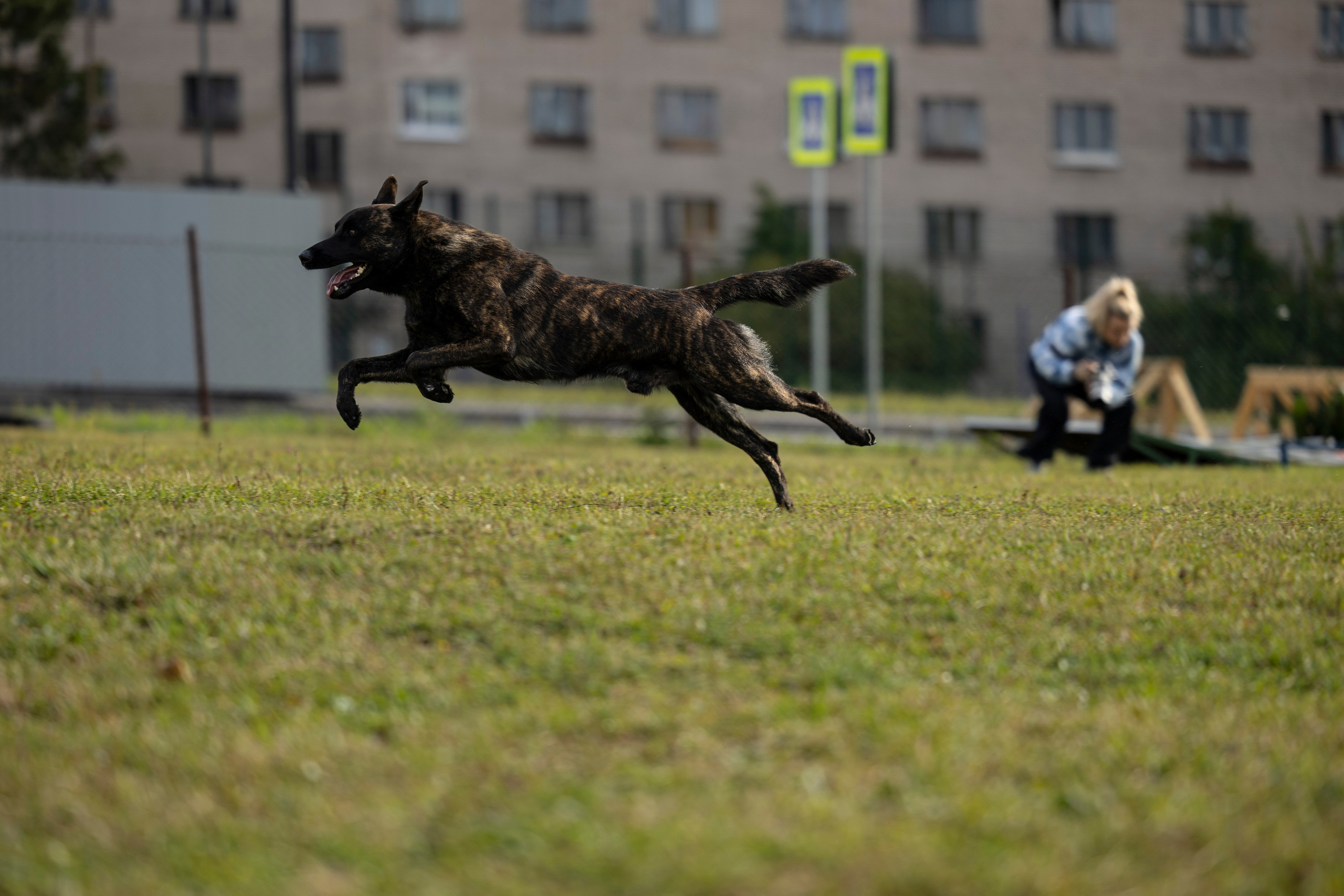 Испытания по Мондьорингу г. Пушкин. Фотограф-анималист Анна Маринич