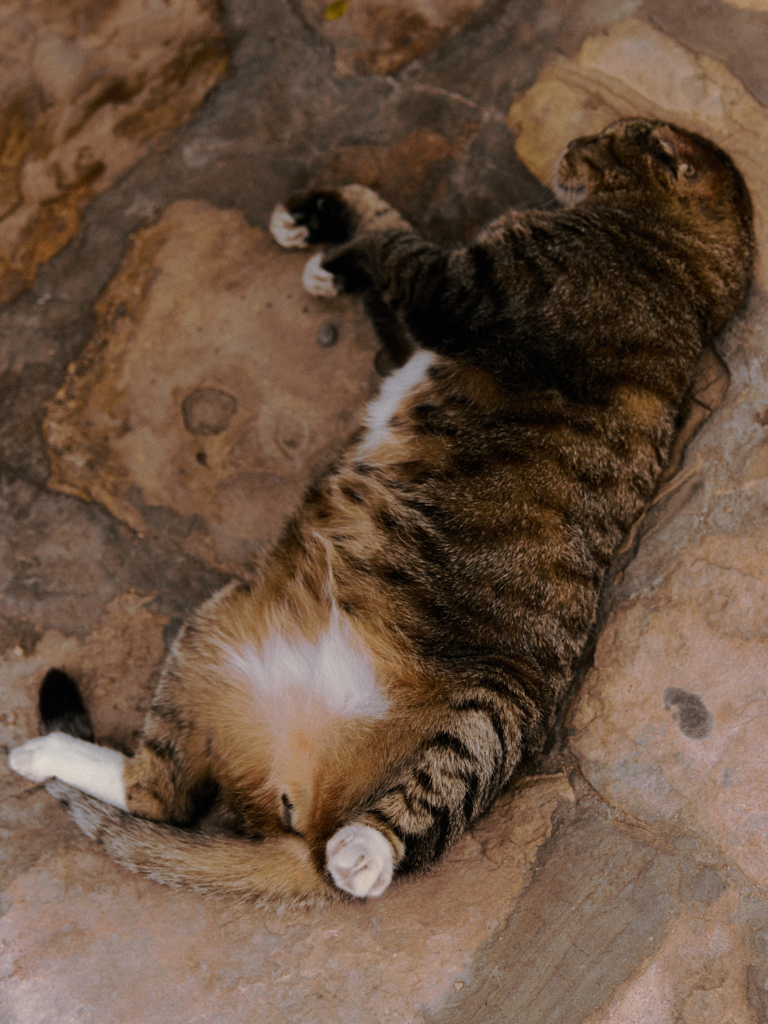 Диптих. Jorgis — фотограф в Хургаде / обучение фотографии