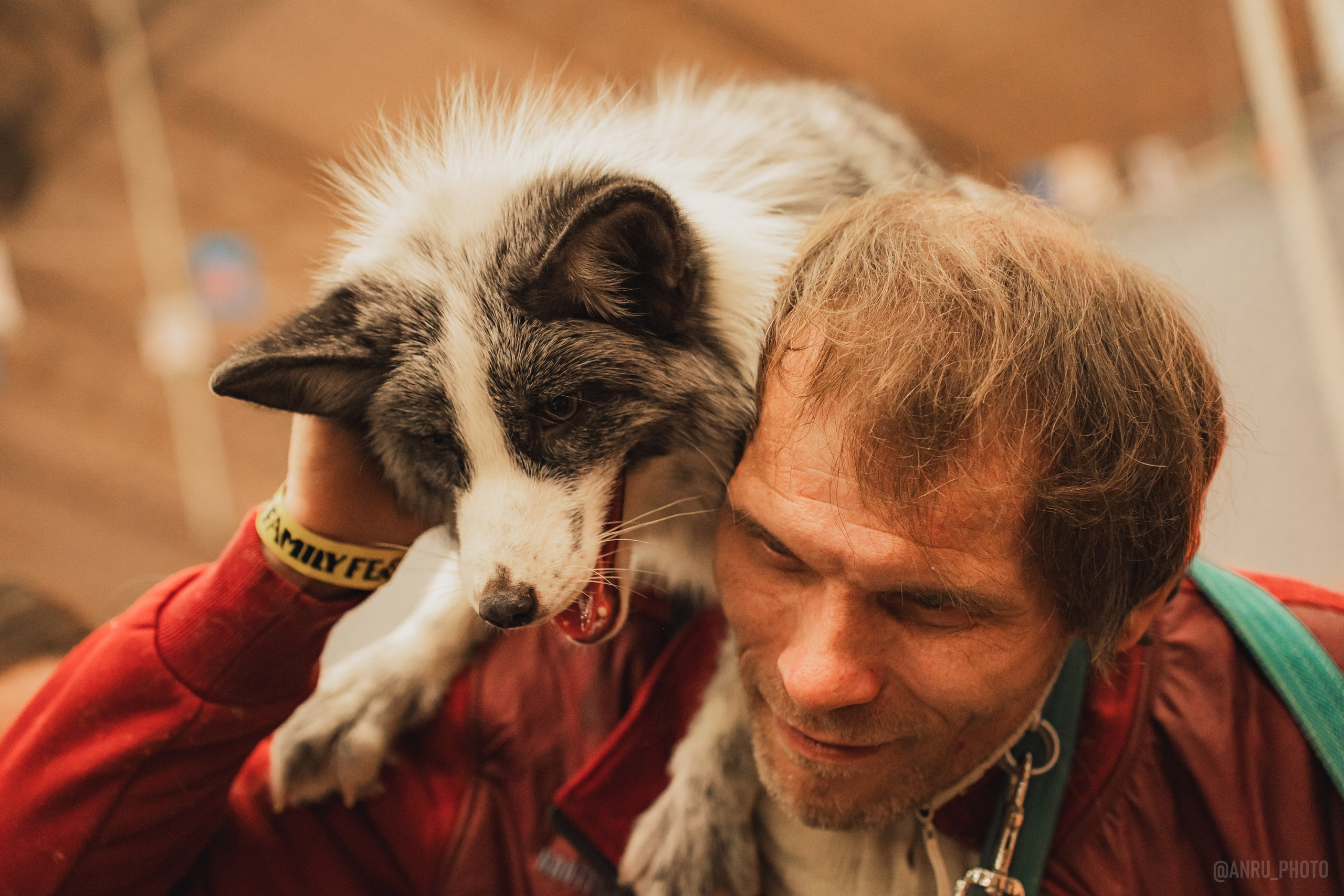 Fox Family fest. Репортажный фотограф Анастасия Рубцова