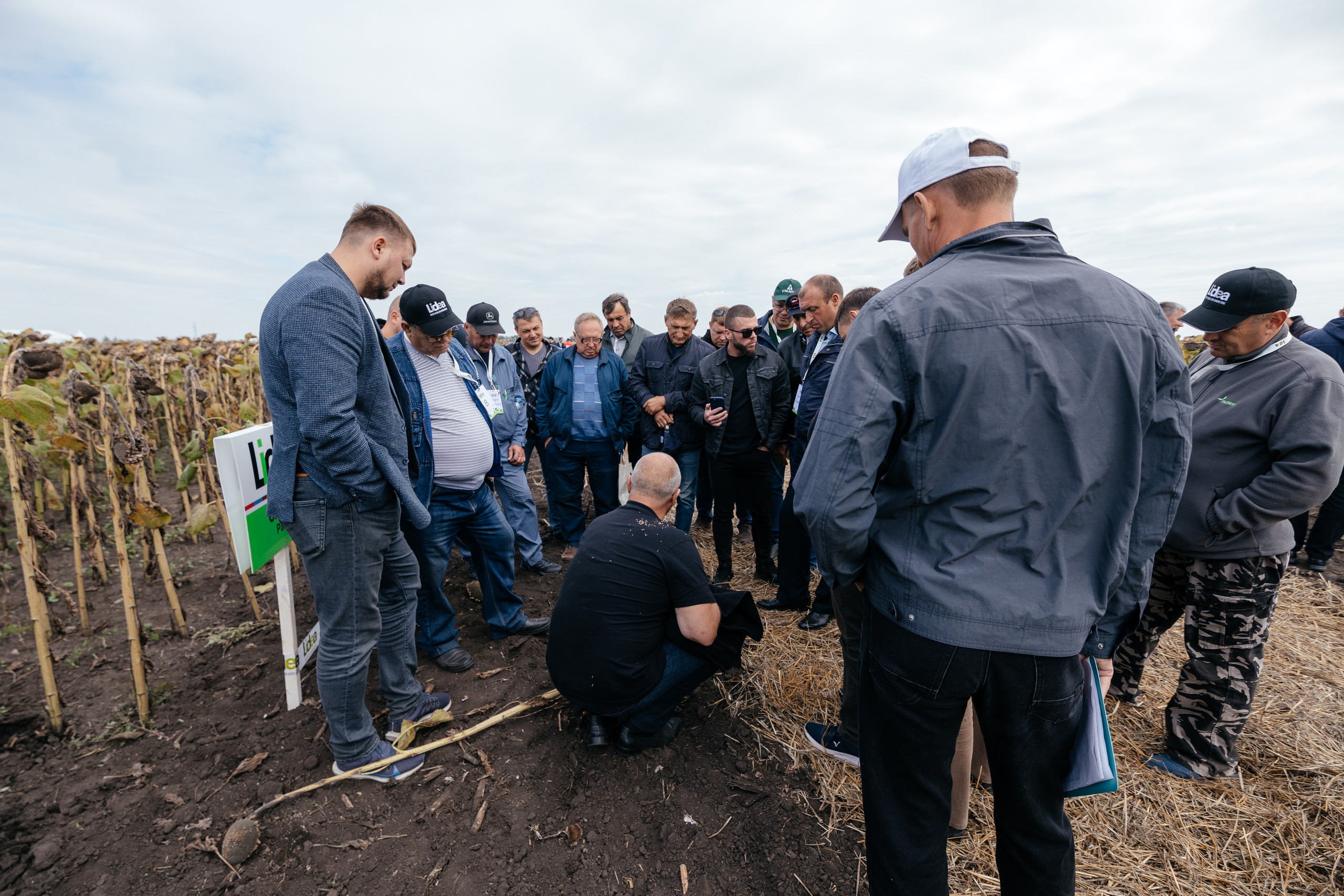 День поля. Фотограф Крохин Олег