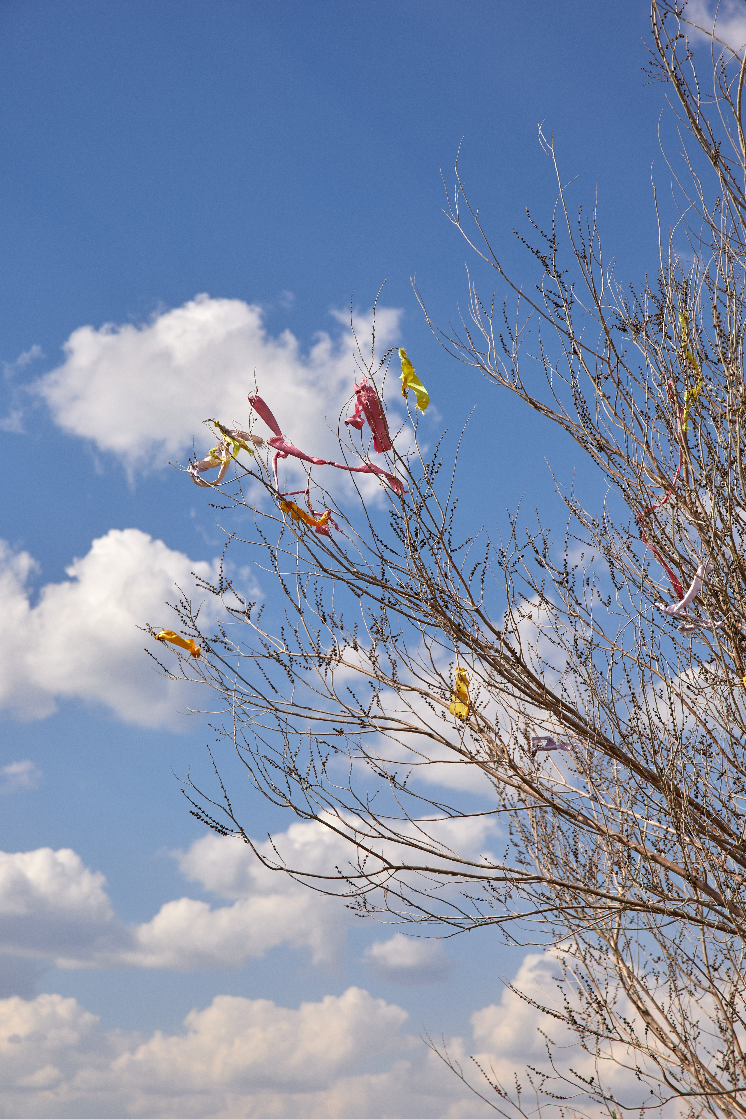 Илья и Лиза Ягодное. Фотограф в Самаре Анастасия Афанасьева