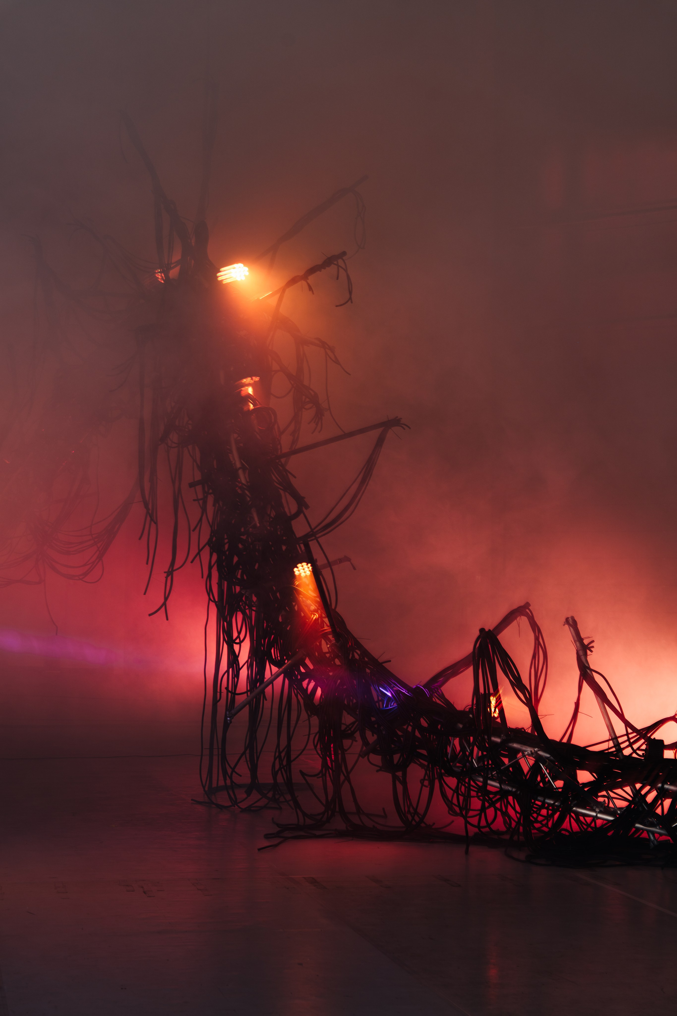 PANTERRA, CHRONOMORPH 001. @tomrus: Рустам Шагиморданов — фотограф