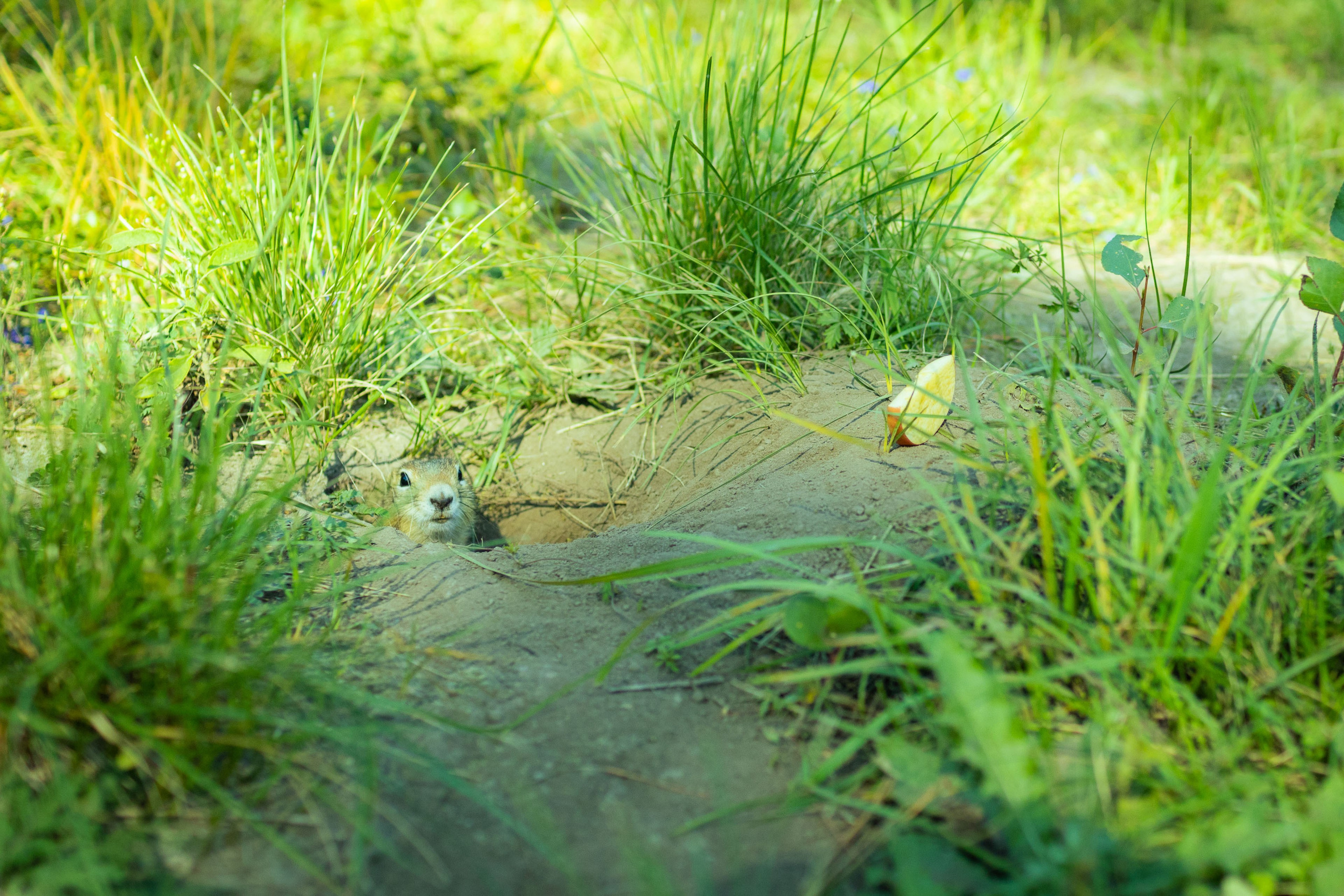 Красноярск (осень 2023). Фотограф Виноградов Константин