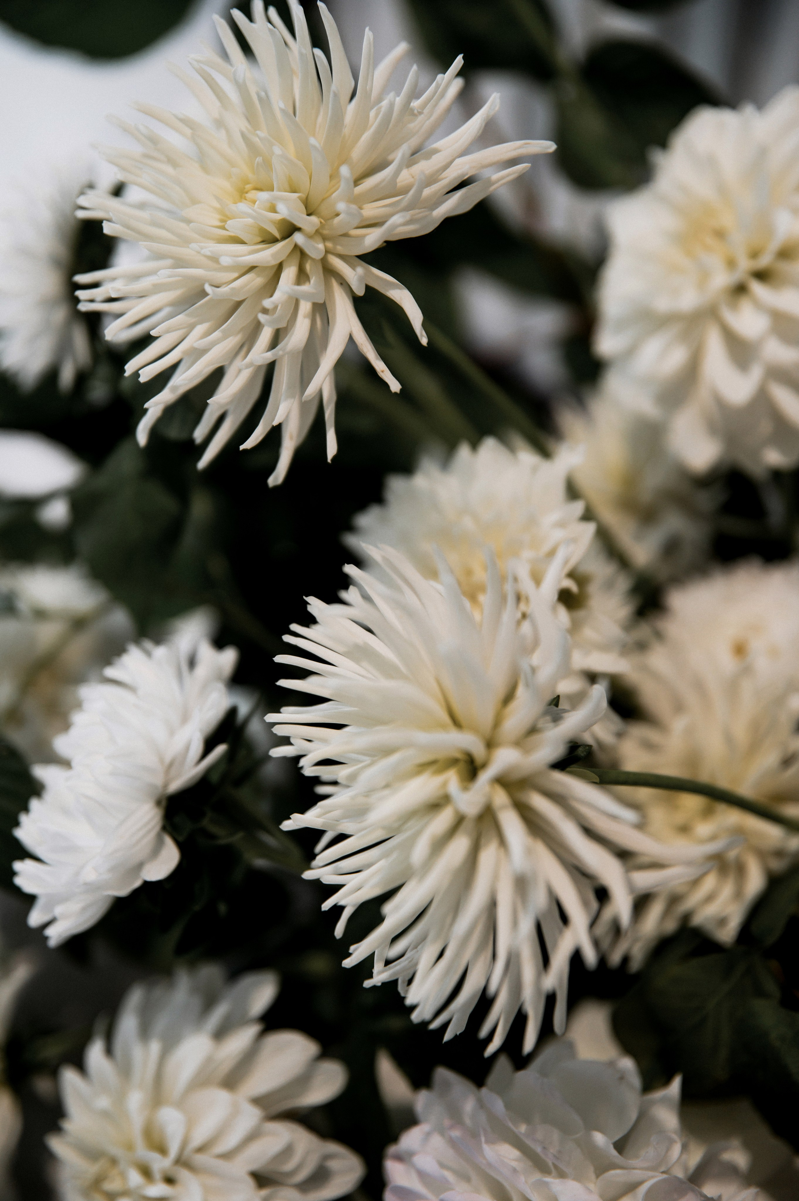 Леонид и Валерия. Фотограф Кирилл Верт