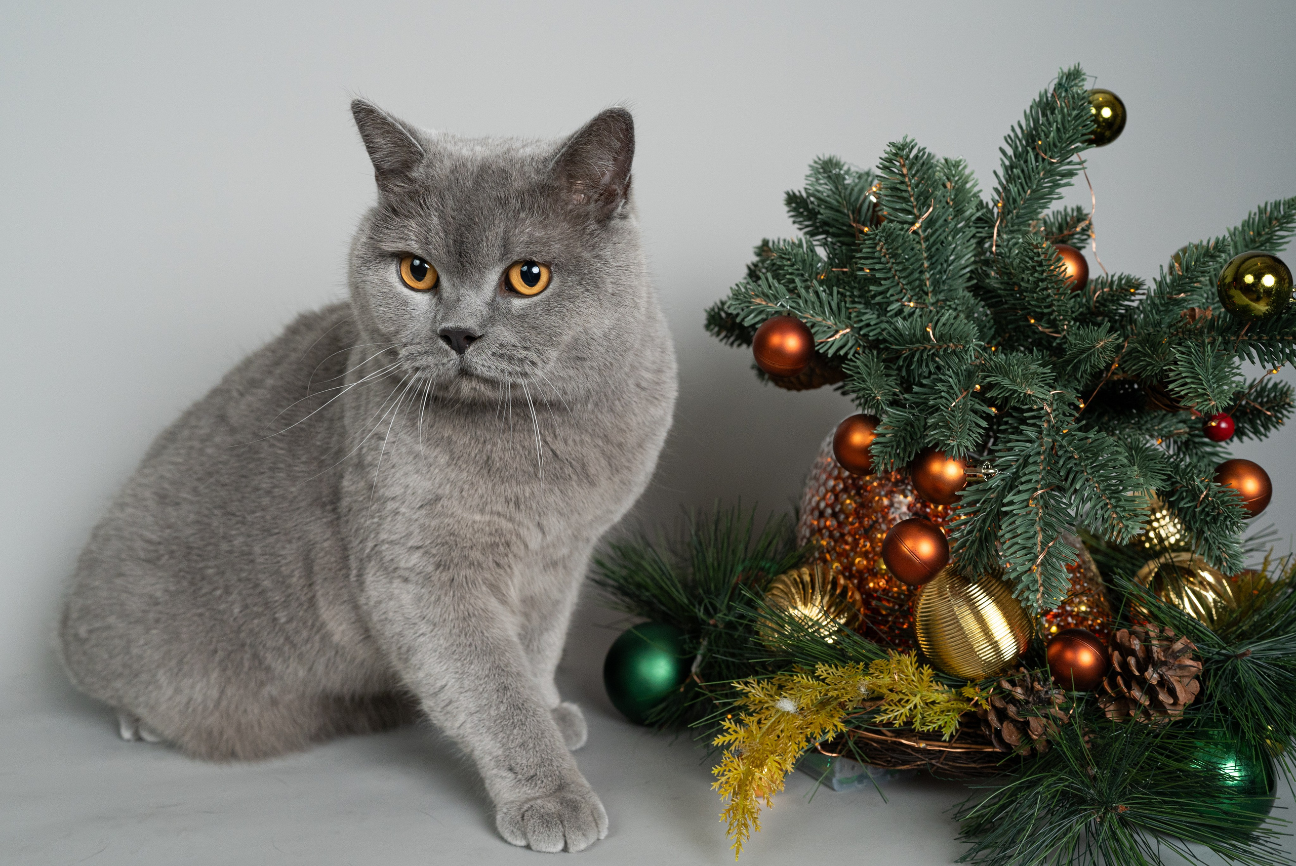 Для души. Фотосессия портрет, ню, будуар, стрит фотограф Москва Юлия Кафизова