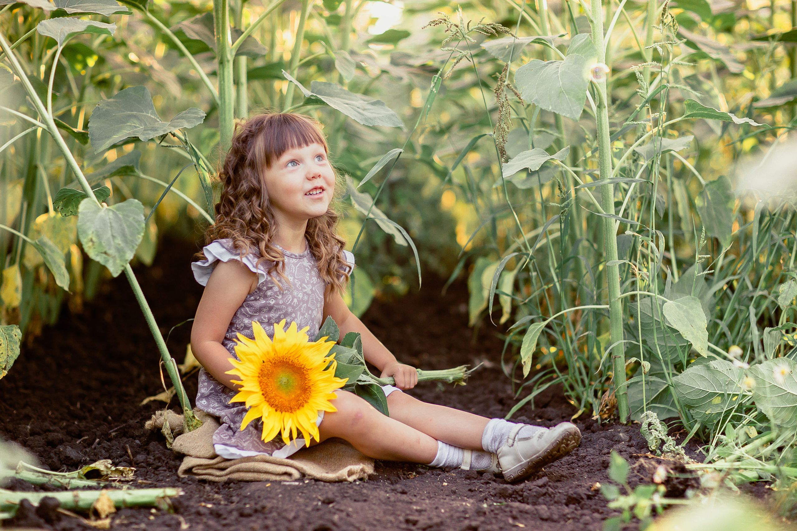 Семейная фотосессия в подсолнухах. Лето 2020. Семейный и детский фотограф в Пензе Анна Михайлова