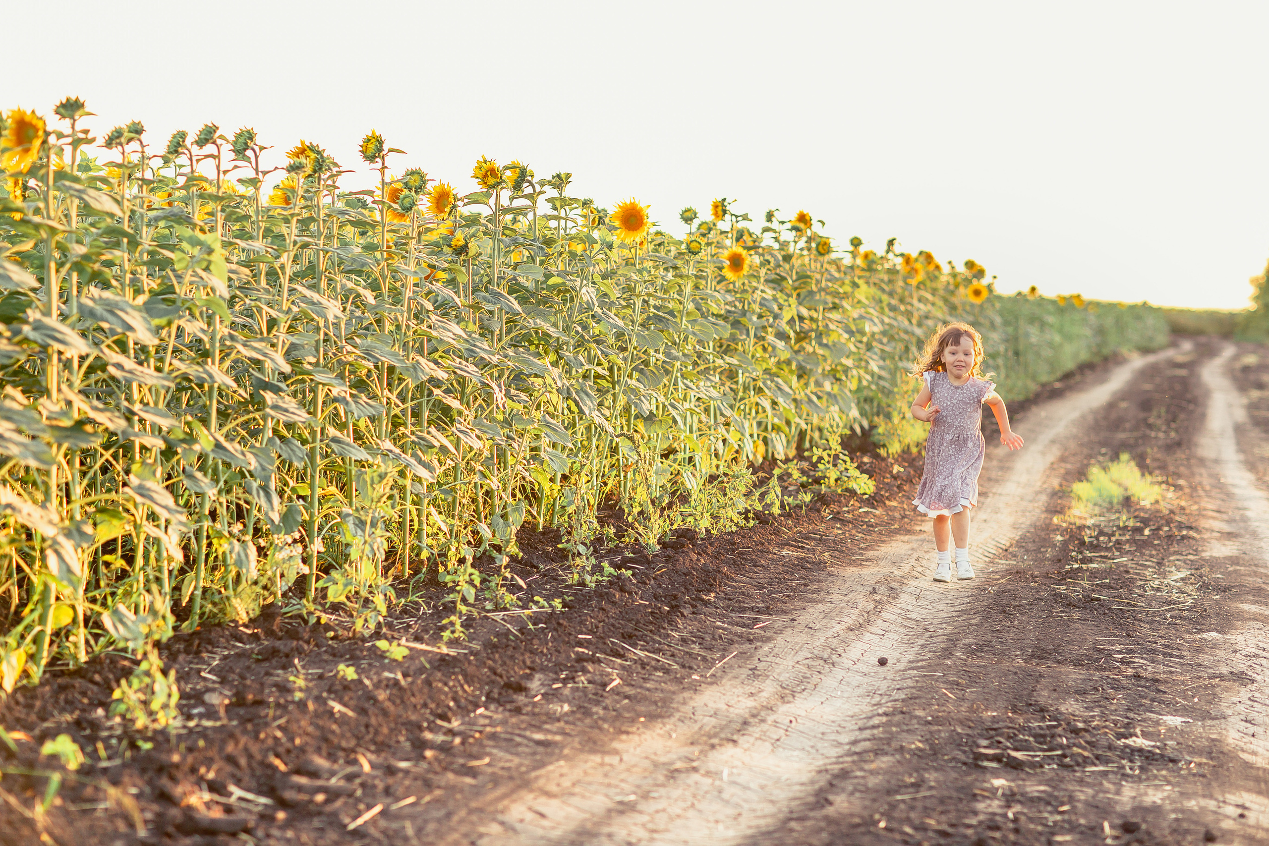 Семейная фотосессия в подсолнухах. Лето 2020. Семейный и детский фотограф в Пензе Анна Михайлова