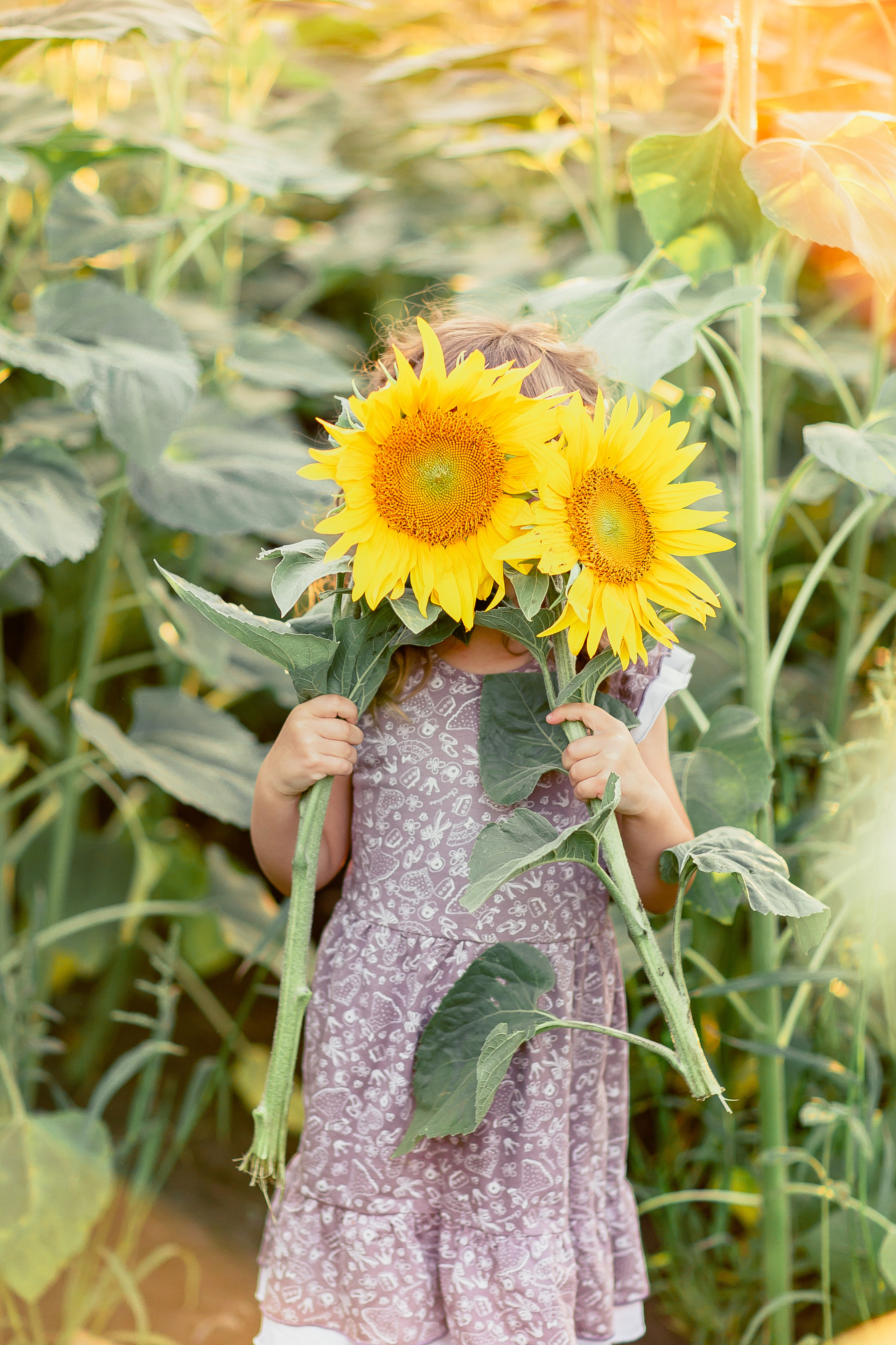 Семейная фотосессия в подсолнухах. Лето 2020. Семейный и детский фотограф в Пензе Анна Михайлова