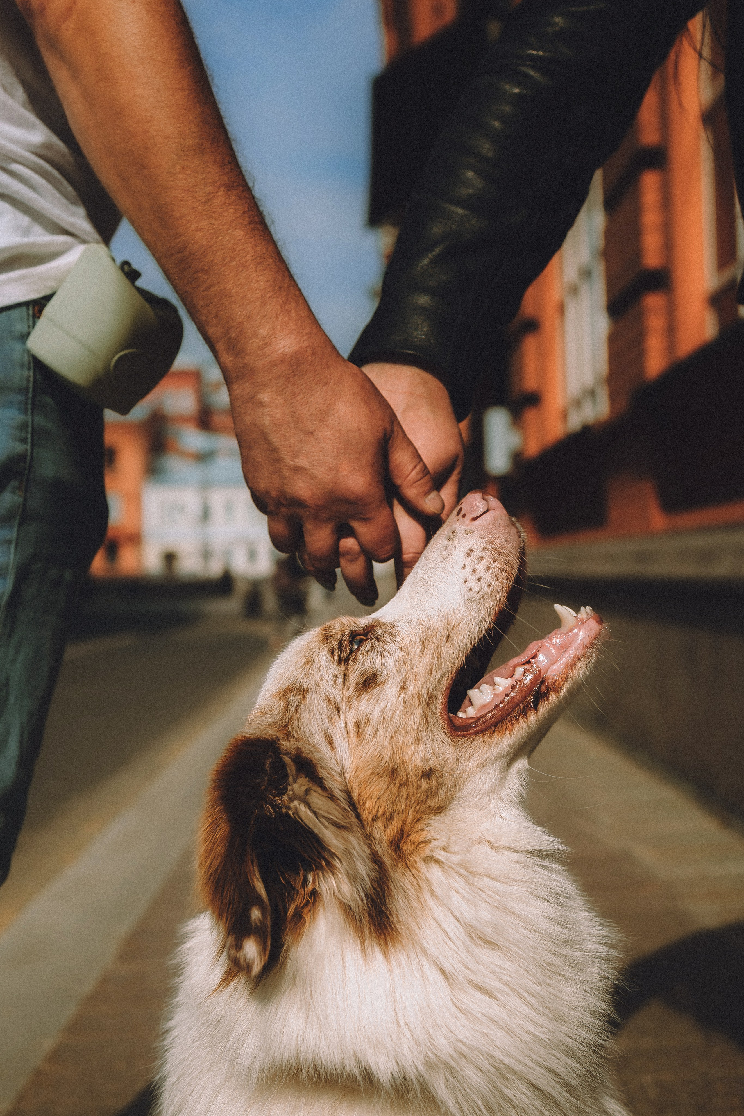 Один и его семья