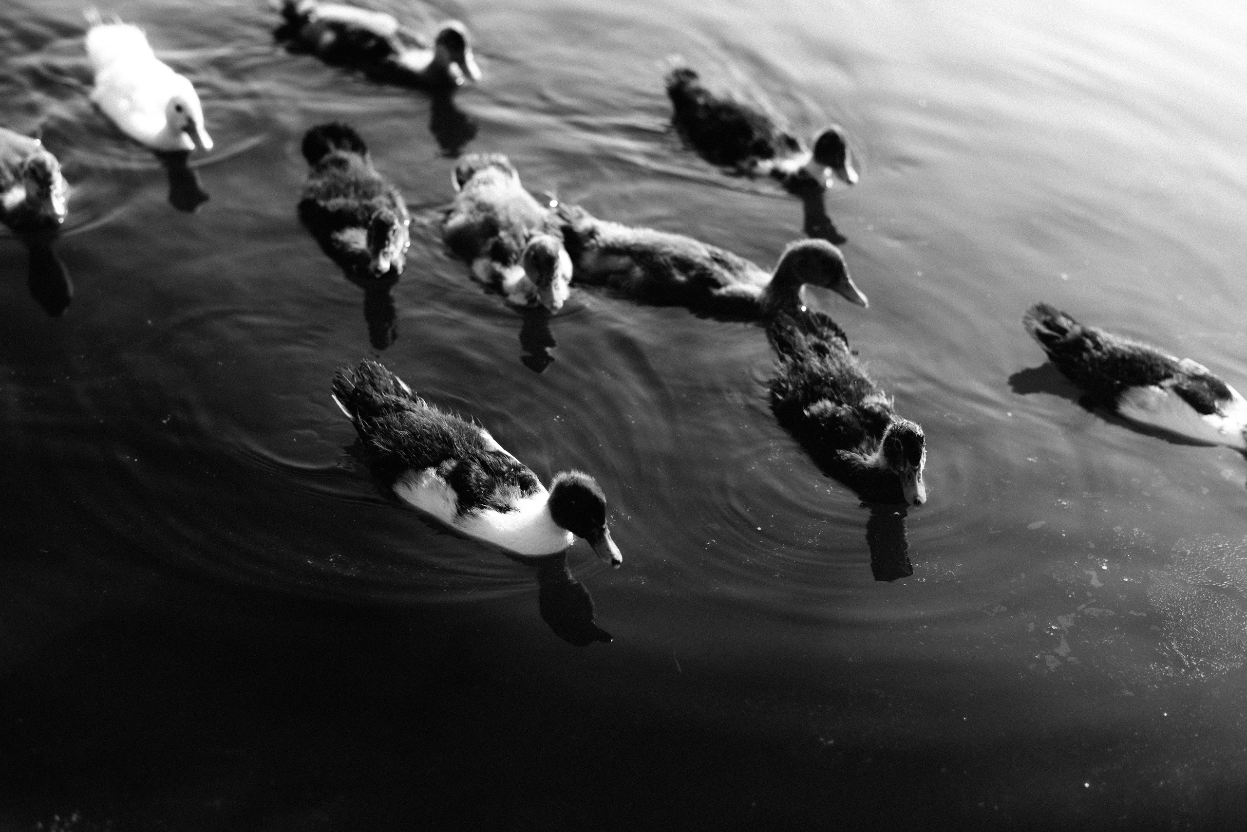 На винодельне. Свадебный фотограф Ростов-на-Дону от 4 400 руб. |Кристина Гайсенюк