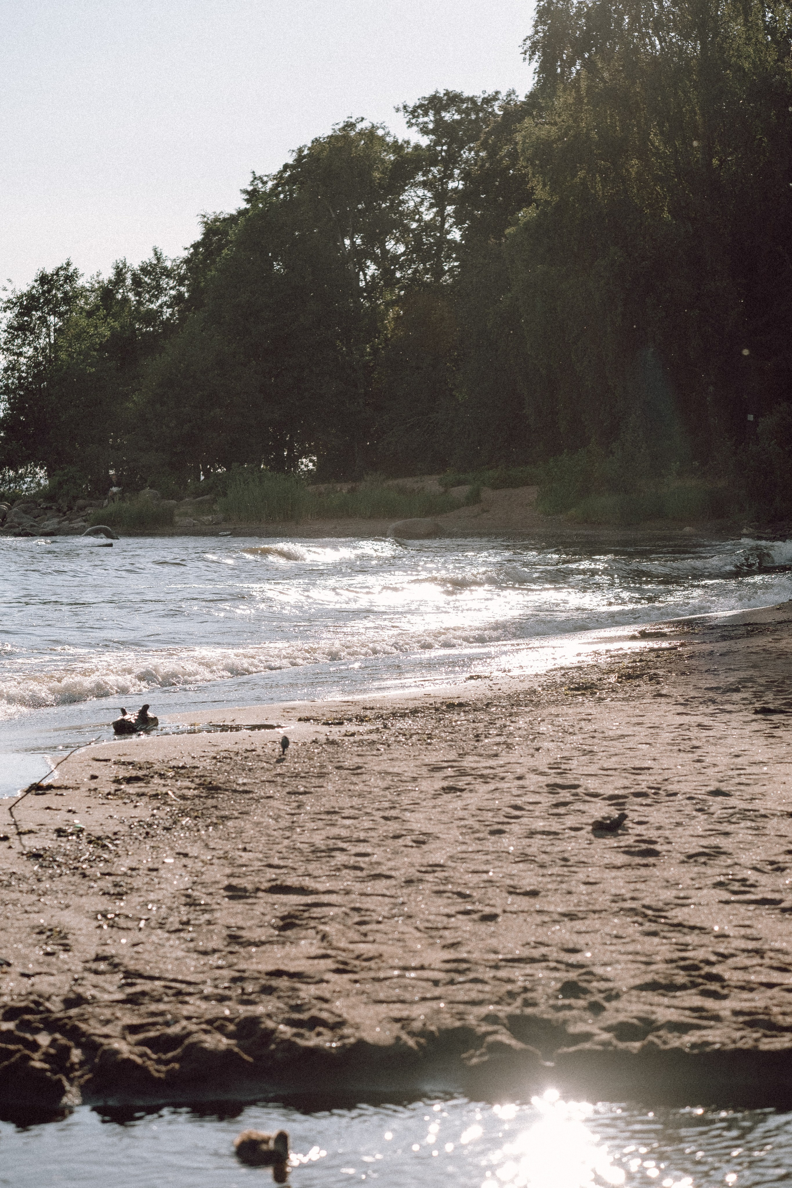 ПРОГУЛКА НА БЕРЕГУ ФИНСКОГО ЗАЛИВА. Профессиональный фотограф, Санкт-Петербург — Виктория Богомолова