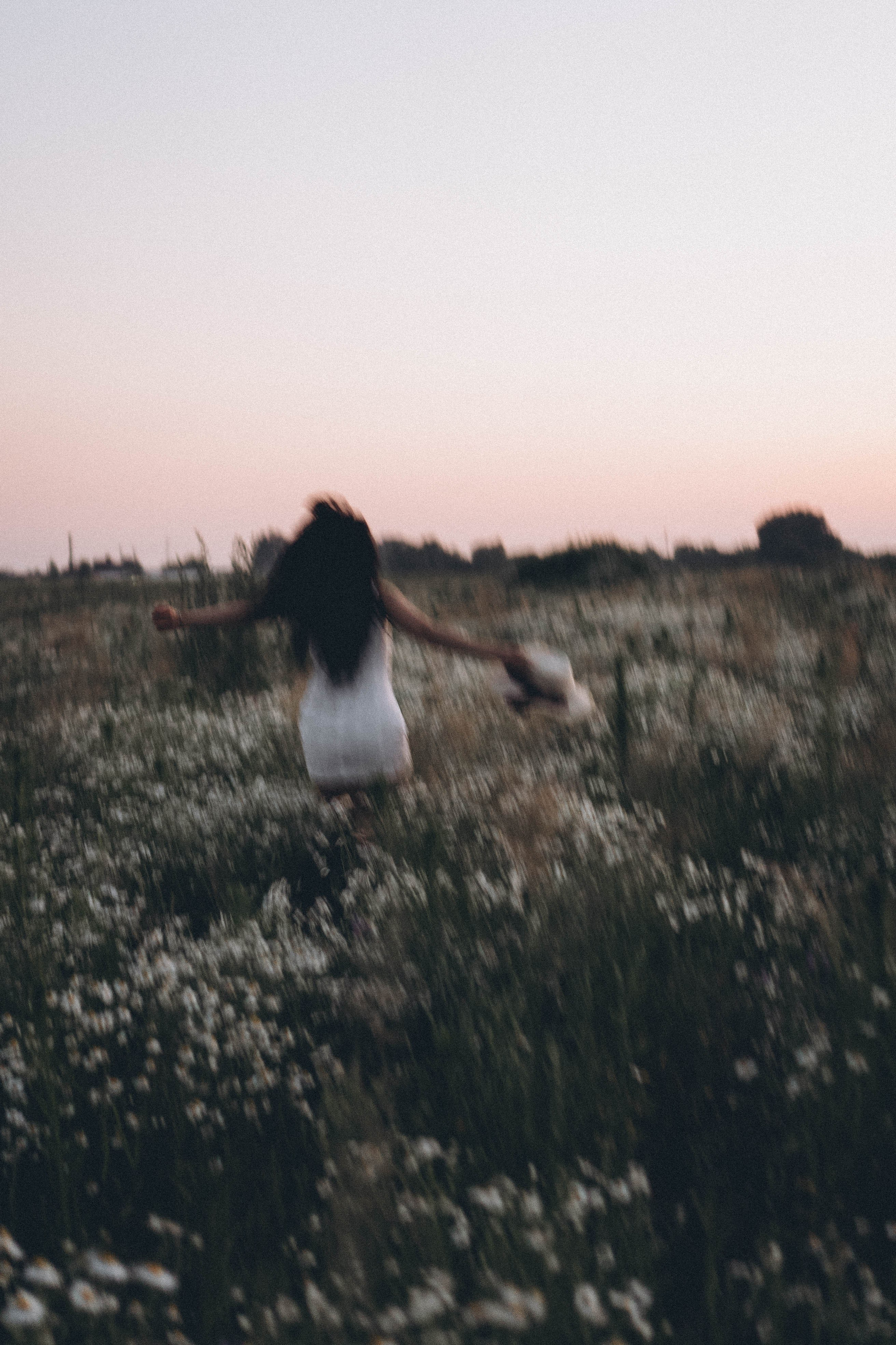 Ромашковое поле. Профессиональный фотограф, Санкт-Петербург — Виктория Богомолова