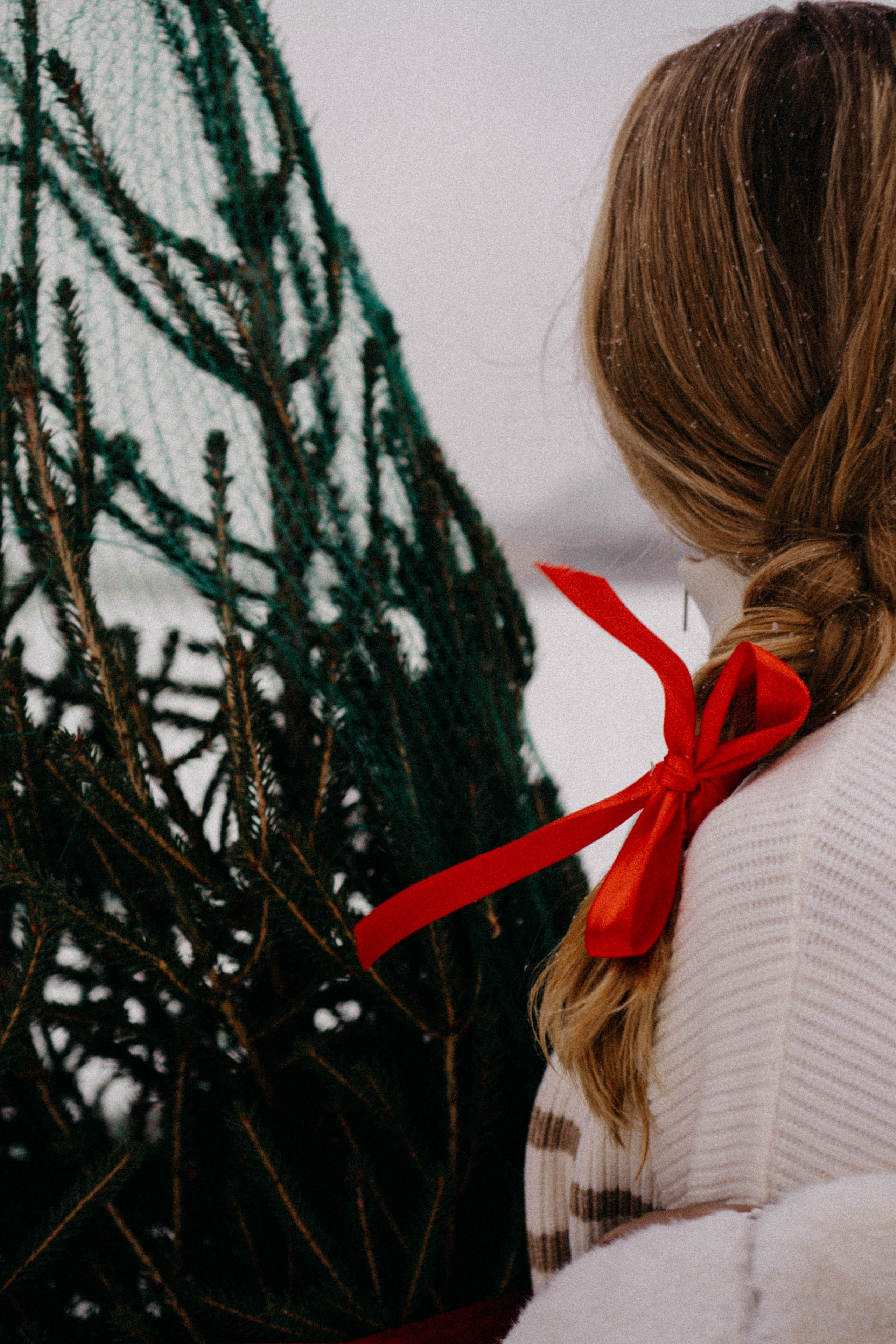 Новогодняя. Профессиональный фотограф, Санкт-Петербург — Виктория Богомолова