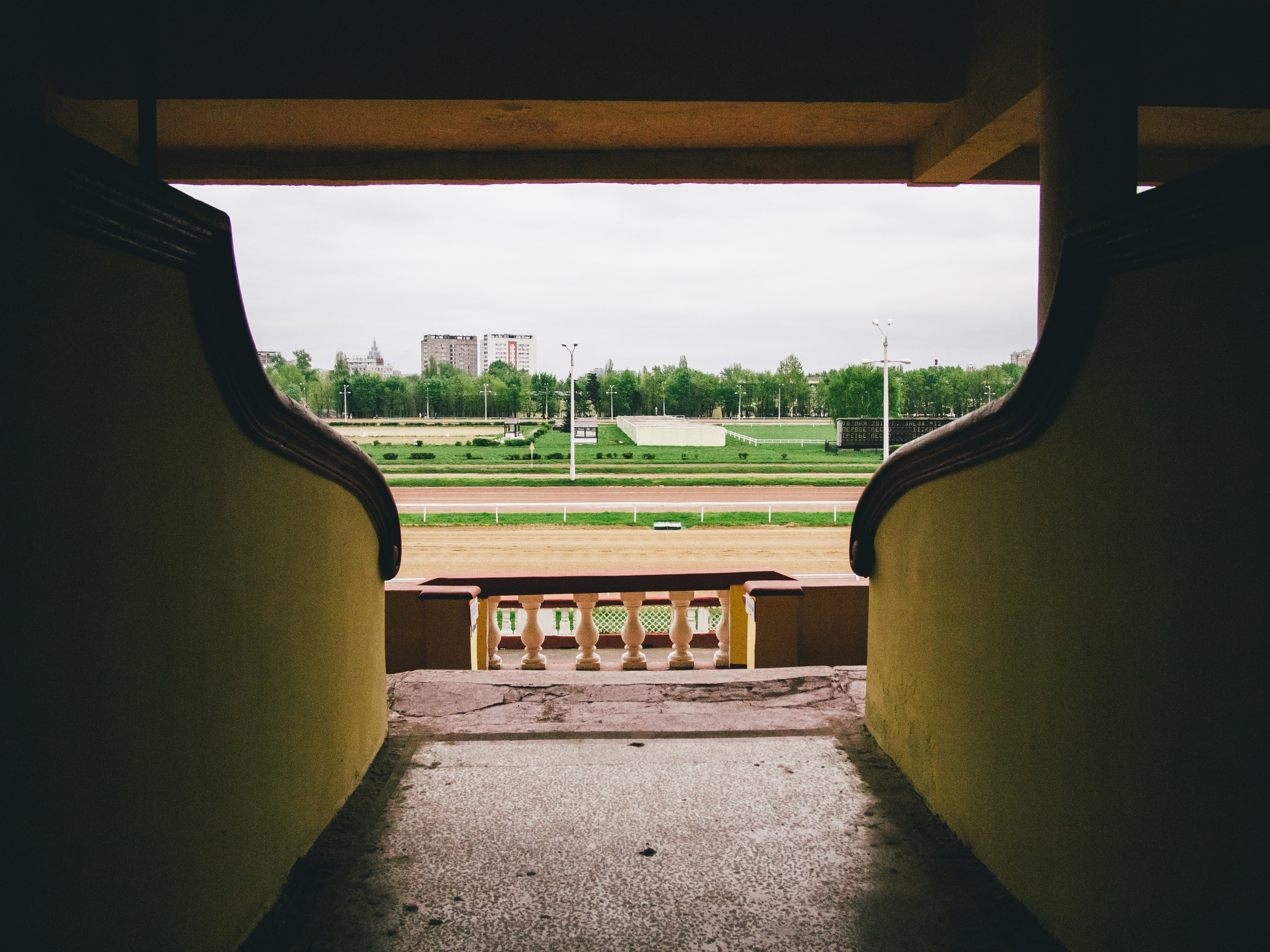 Московский ипподром образца 2018 года. Илья Михачёв Фотограф ПРО людей