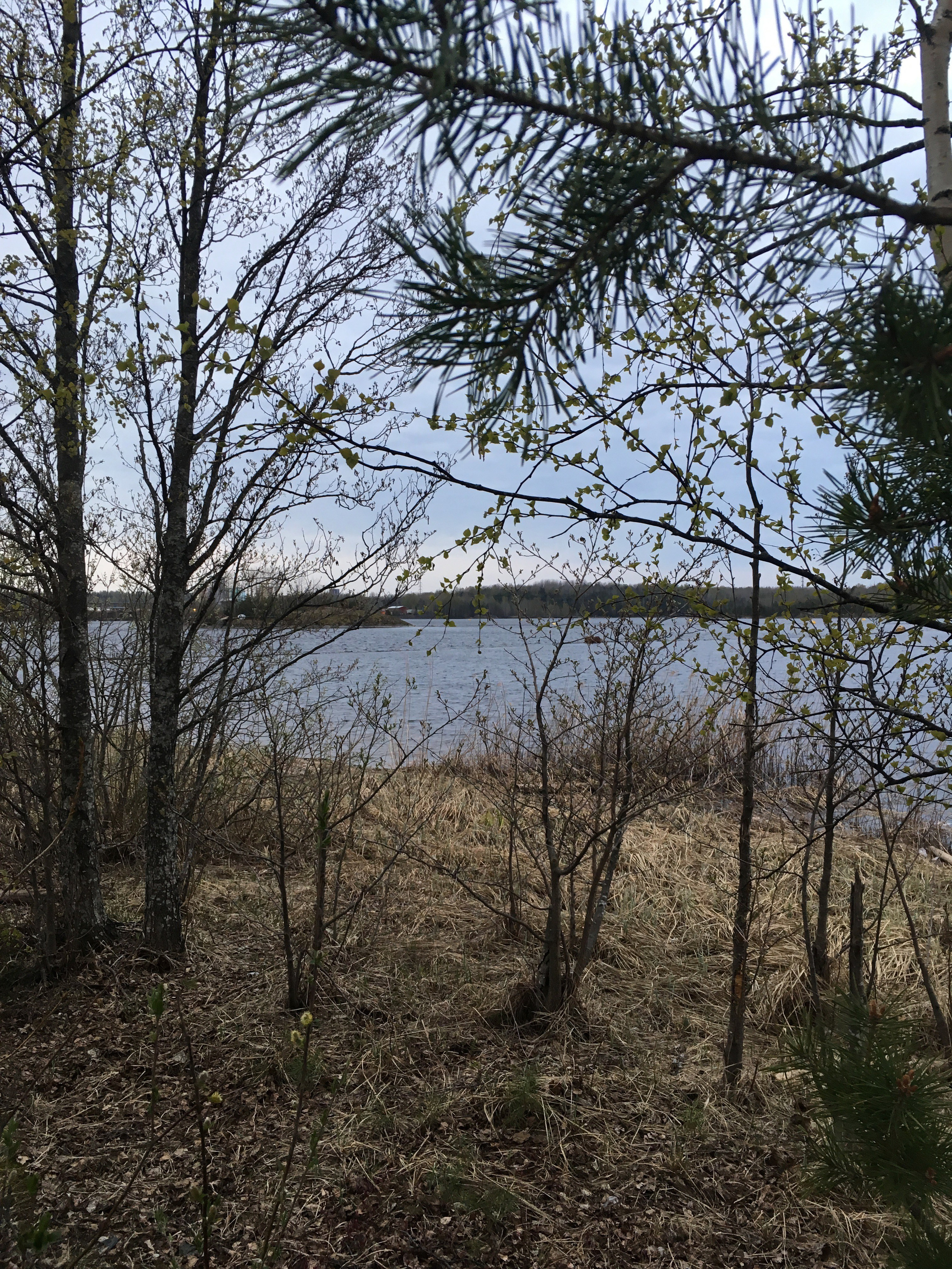 Финляндия — 19. Своя Мастерская