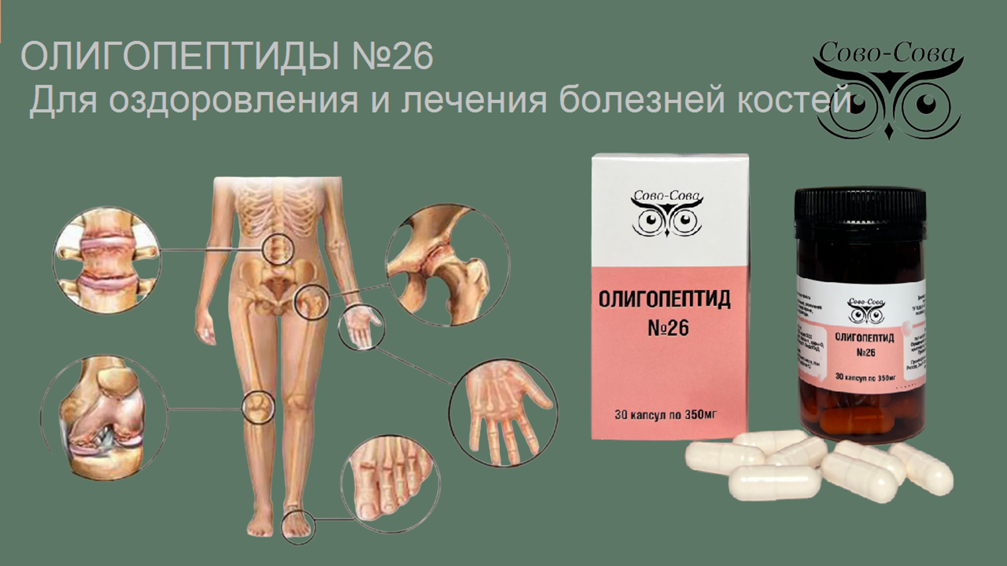 Олигопептид № 26 — Для оздоровления и лечения болезней костей