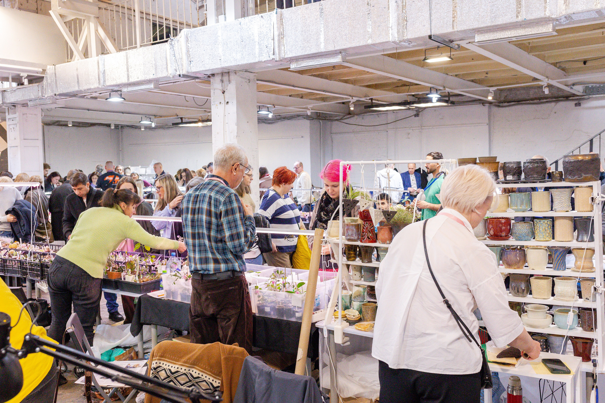 Кактус Фест. Александра Куликова фотограф, Москва