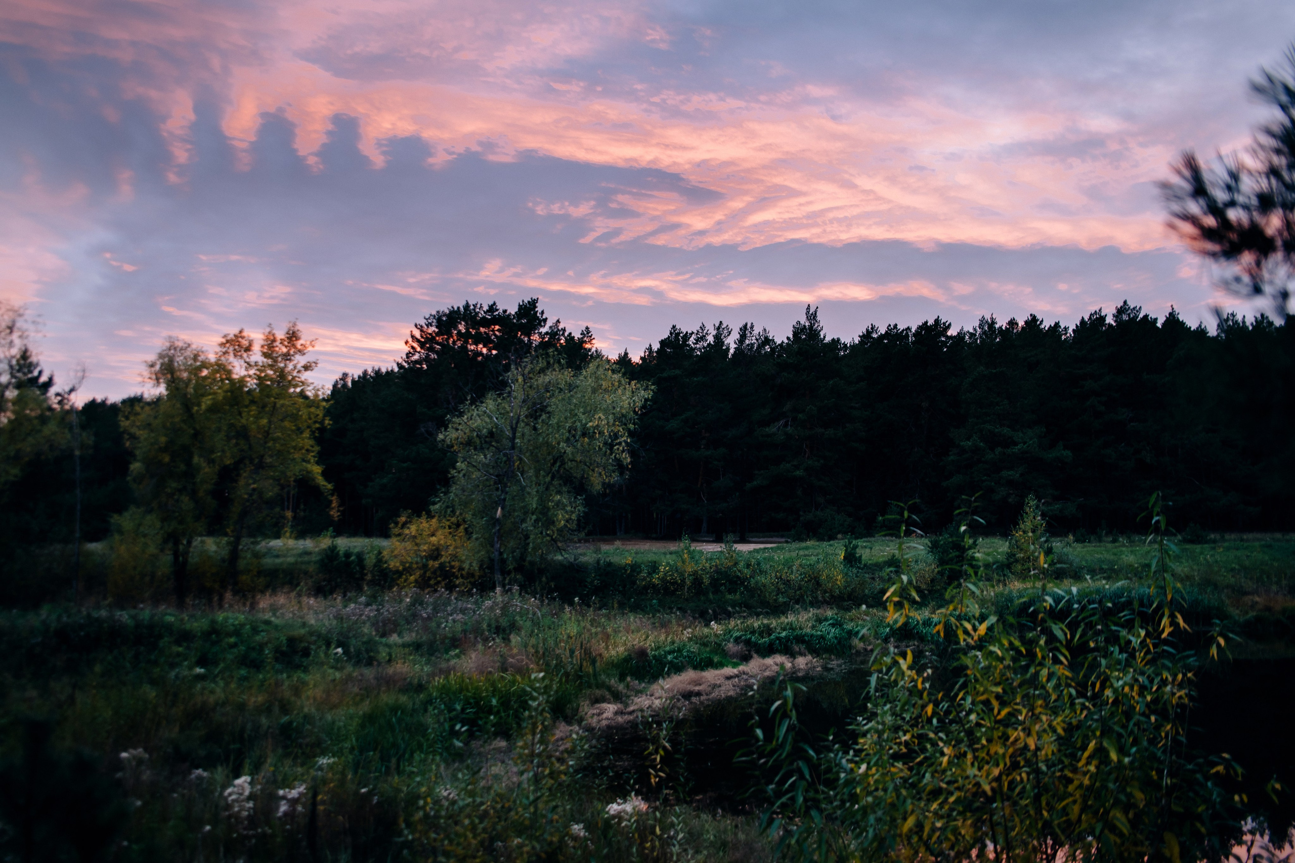 Наталья. Фотограф — МАРИЯ МЕДВЕДЕВА