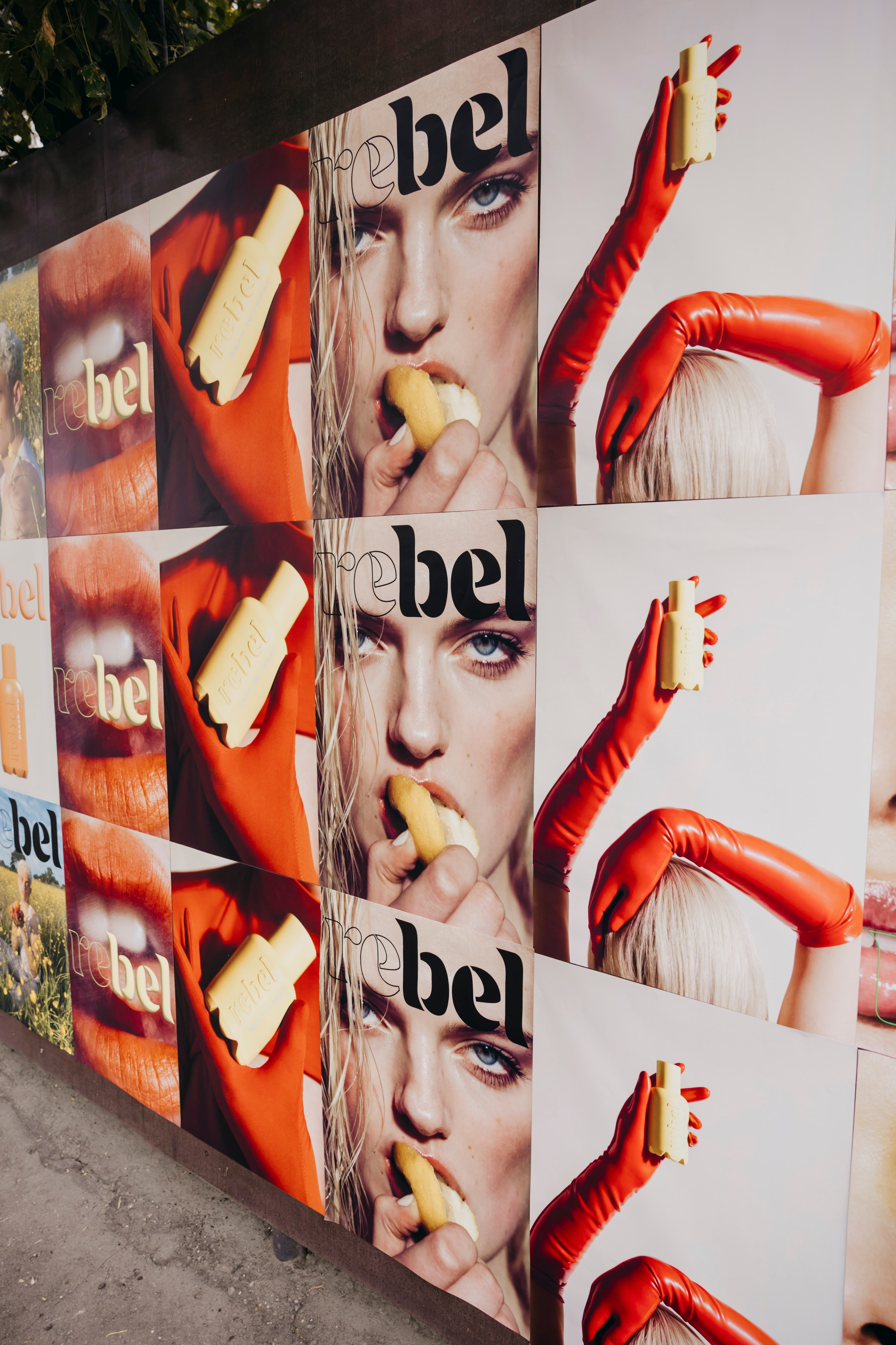 «Rebel» by «Molecule». «Птичка на проводе»: информационный портал в Москве