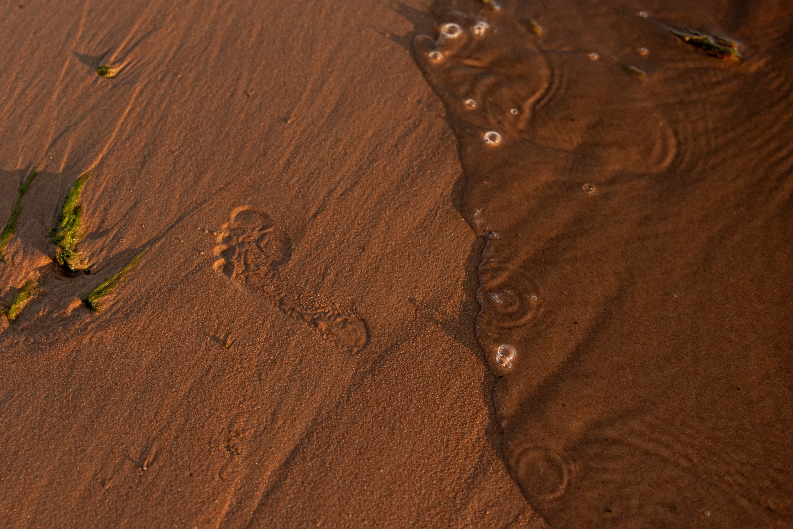 Дочки-матери. Свадебный и семейный фотограф в Санкт- Петербурге