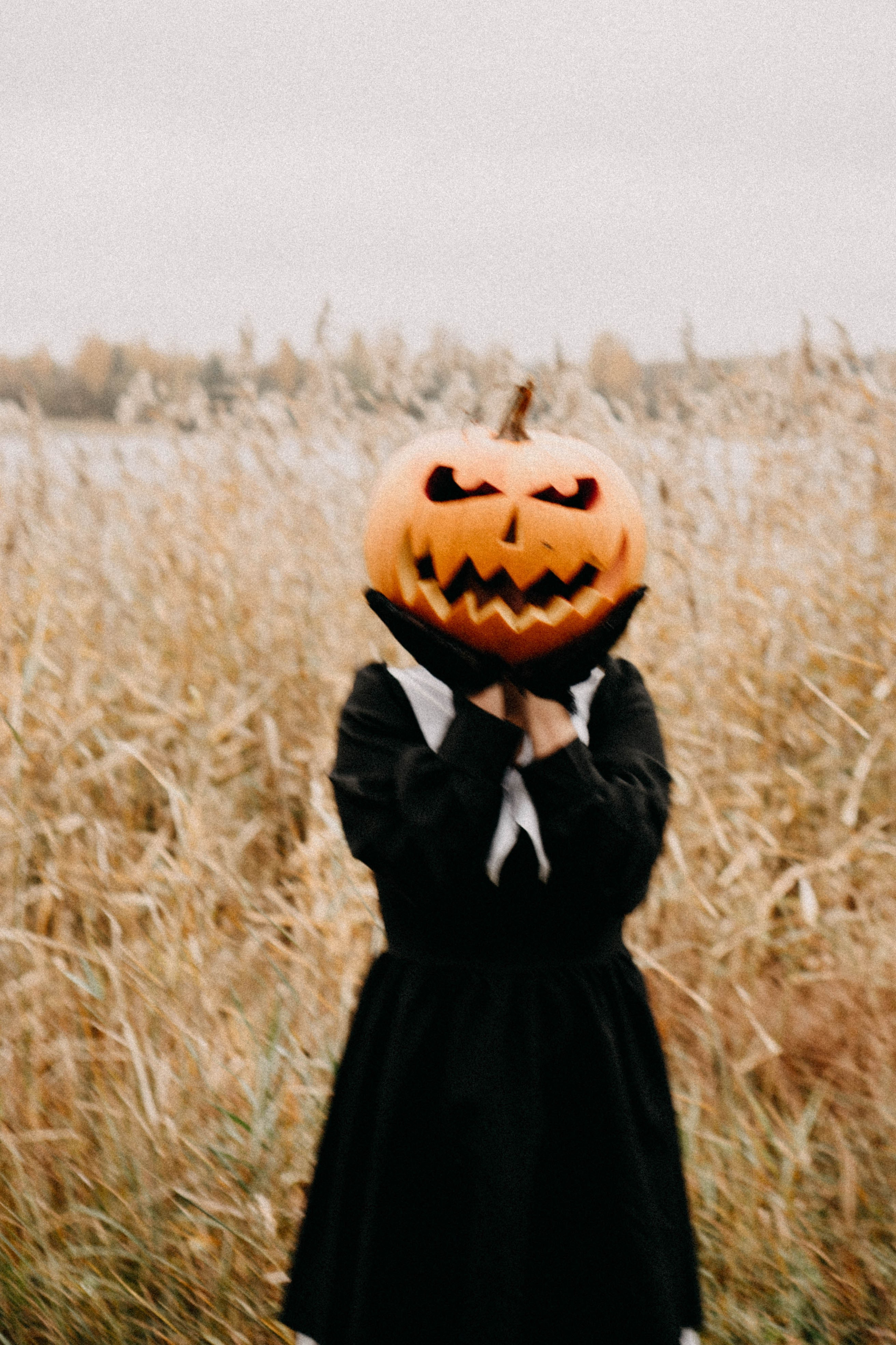Осеняя. Профессиональный фотограф, Санкт-Петербург — Виктория Богомолова