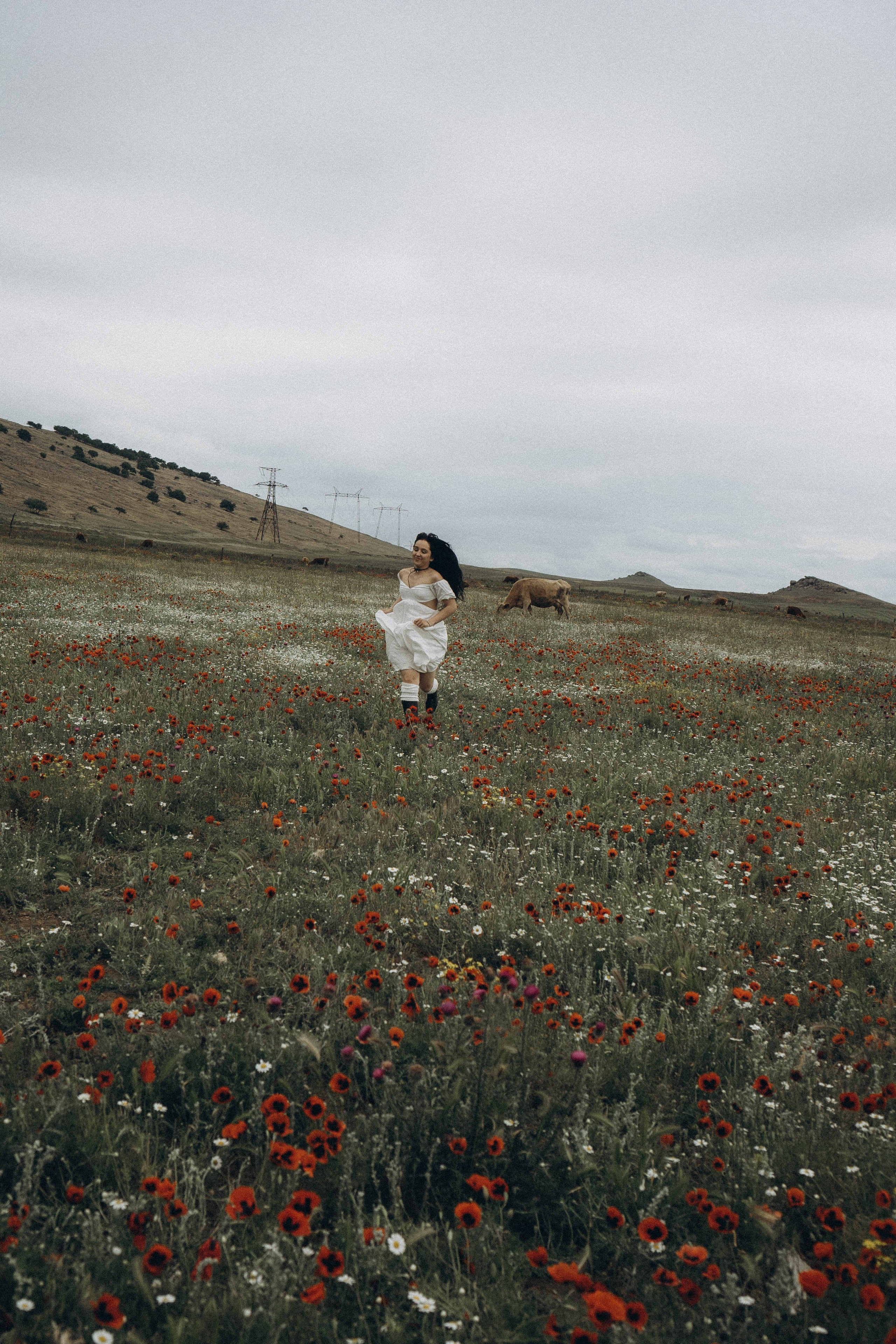 Маковое поле. Профессиональный фотограф, Санкт-Петербург — Виктория Богомолова